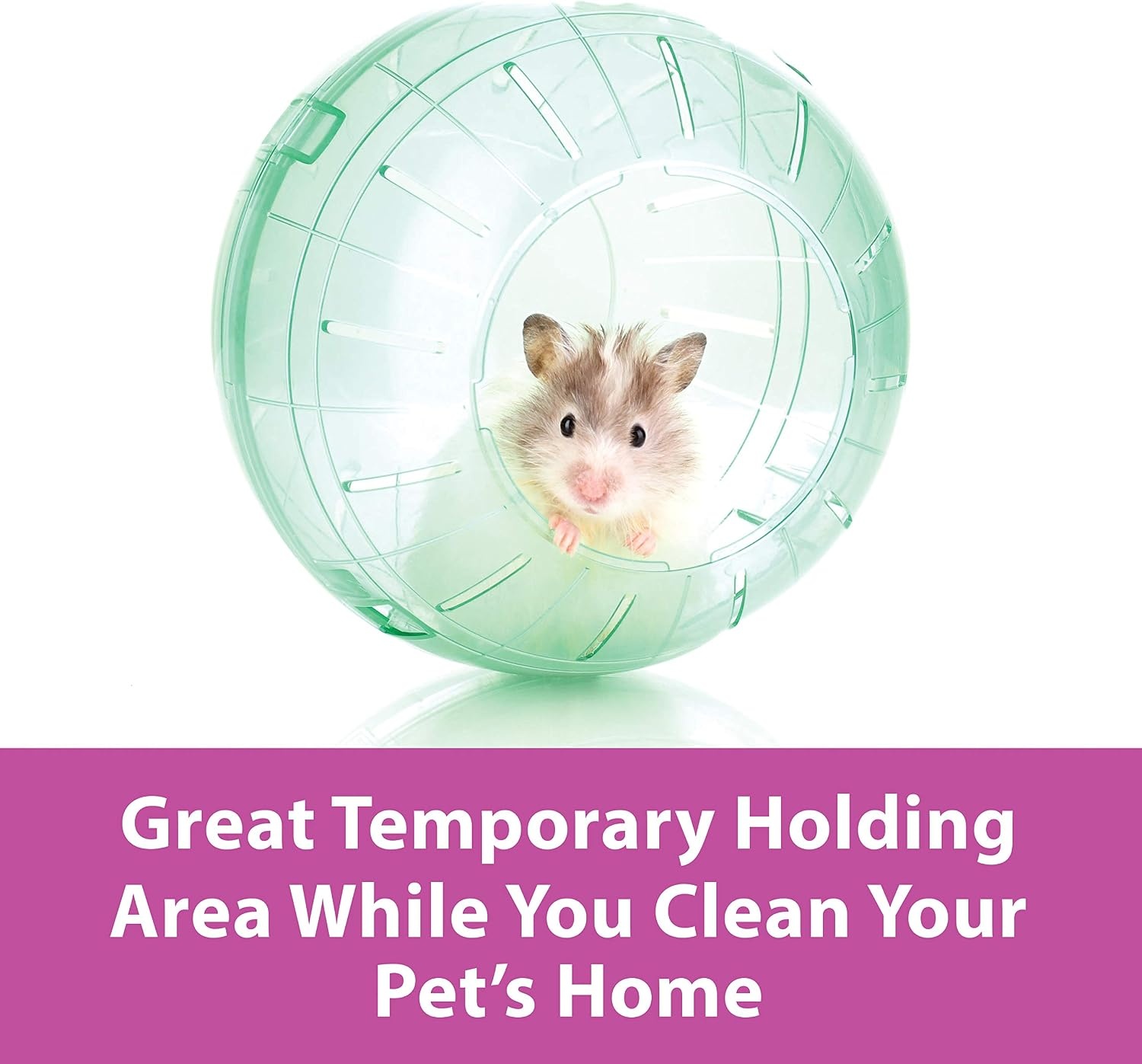 image:imageKaytee 115 Clear RunAbout Exercise Ball for Hamster amp Gerbil PetsAssorted