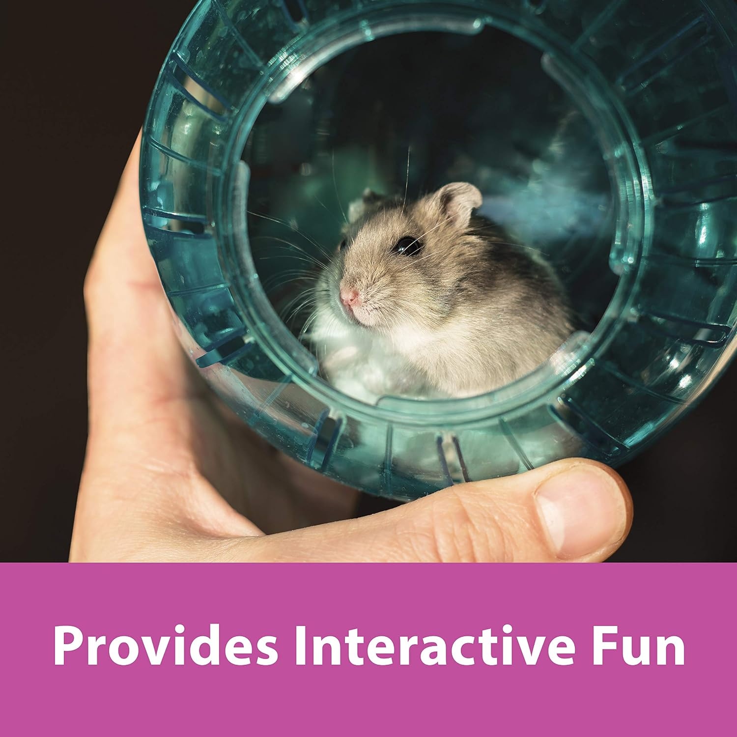 image:imageKaytee 115 Clear RunAbout Exercise Ball for Hamster amp Gerbil PetsAssorted