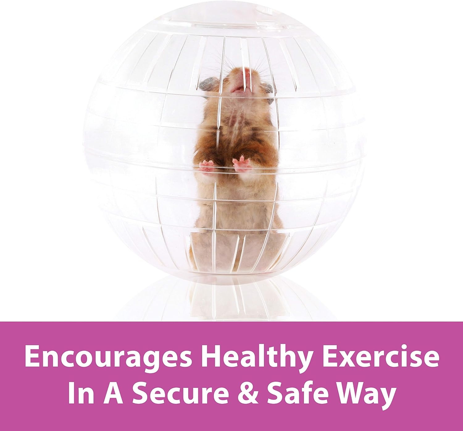image:imageKaytee 115 Clear RunAbout Exercise Ball for Hamster amp Gerbil PetsAssorted