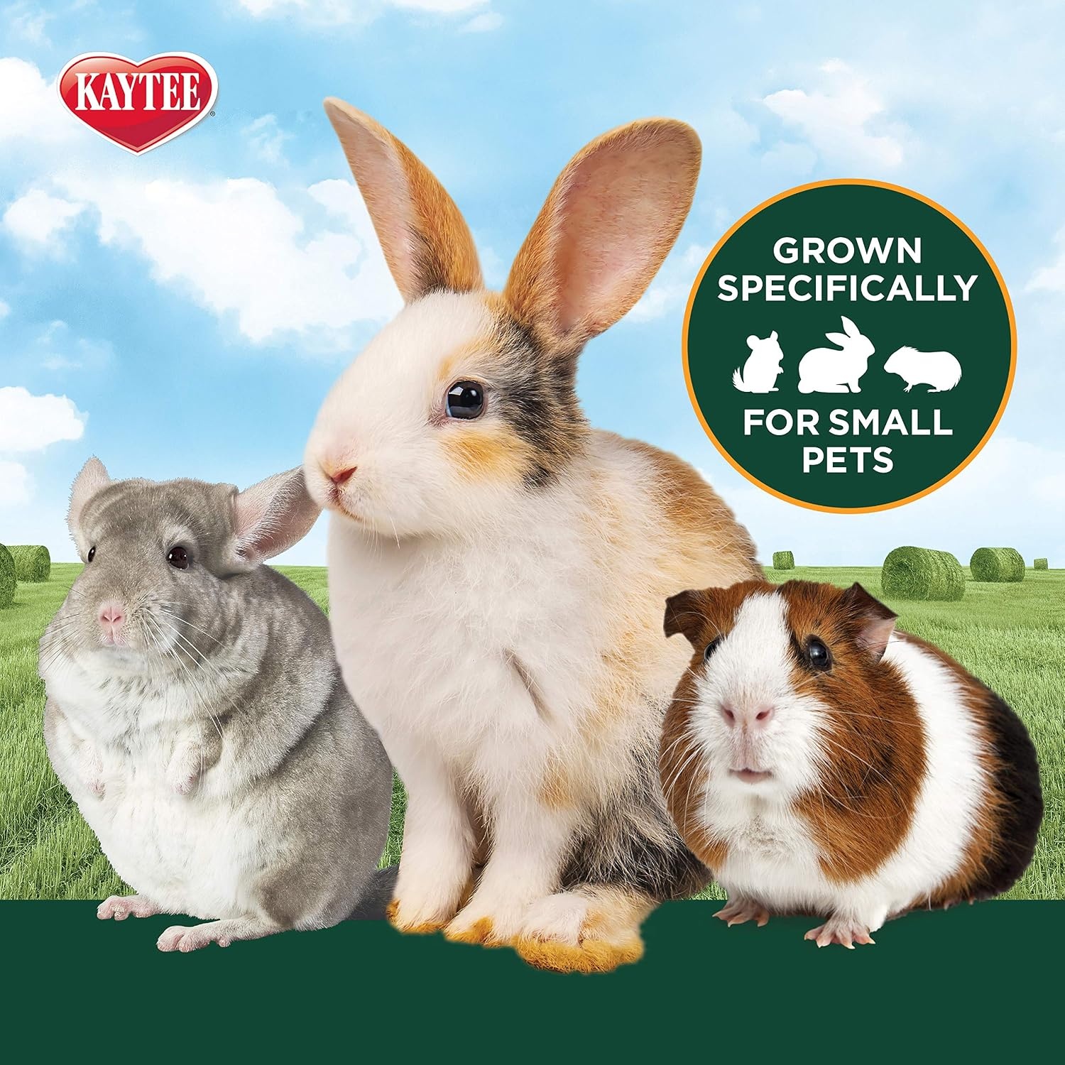 image:imageKaytee 1st Cut Soft and Lush Timothy Hay for Guinea Pigs amp Rabbits2nd Cut Hay