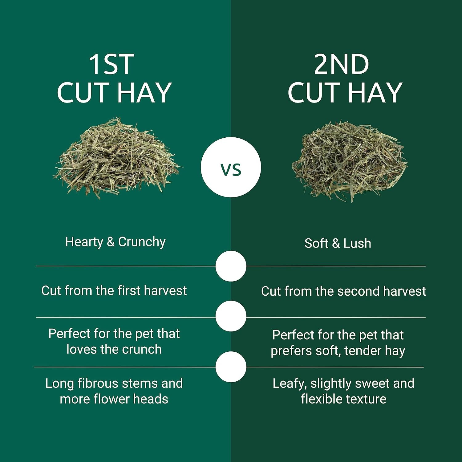 image:imageKaytee 1st Cut Soft and Lush Timothy Hay for Guinea Pigs amp Rabbits2nd Cut Hay