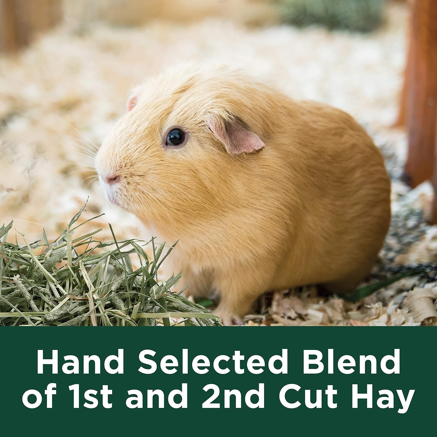 image:imageKaytee Alfalfa Mini Bales Guinea Pig Hay 24 Ounces24 Ounce Pack of 2