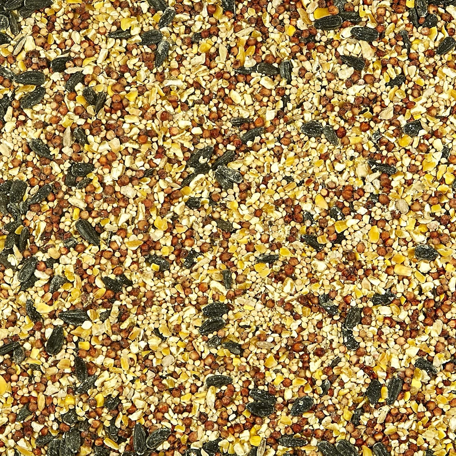 image:imageKaytee All American Mealworm and Black Oil Sunflower Wild Bird Food 3 PackAll American Bulk