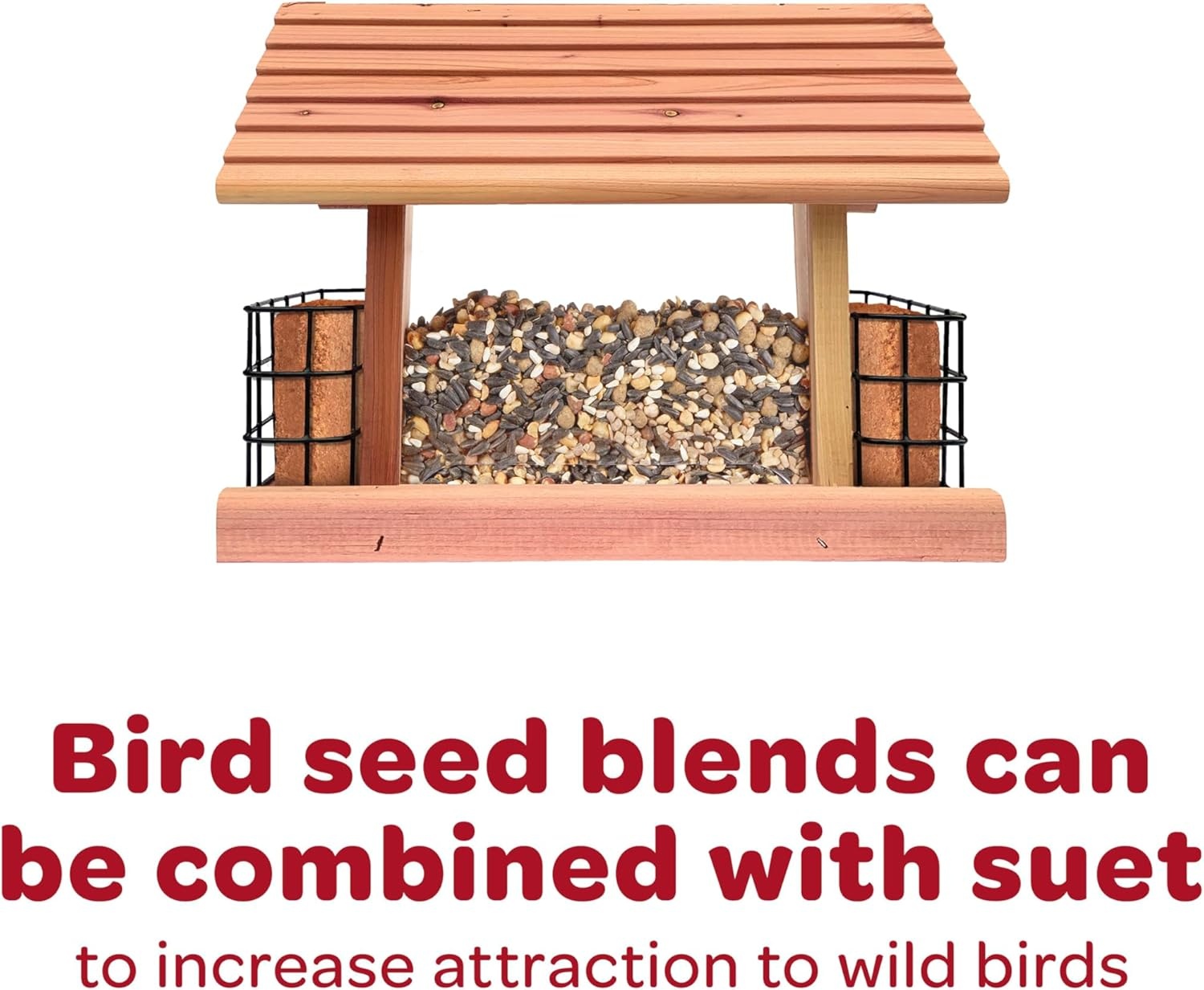 image:imageKaytee All American Mealworm and Black Oil Sunflower Wild Bird Food 3 PackAll American Bulk