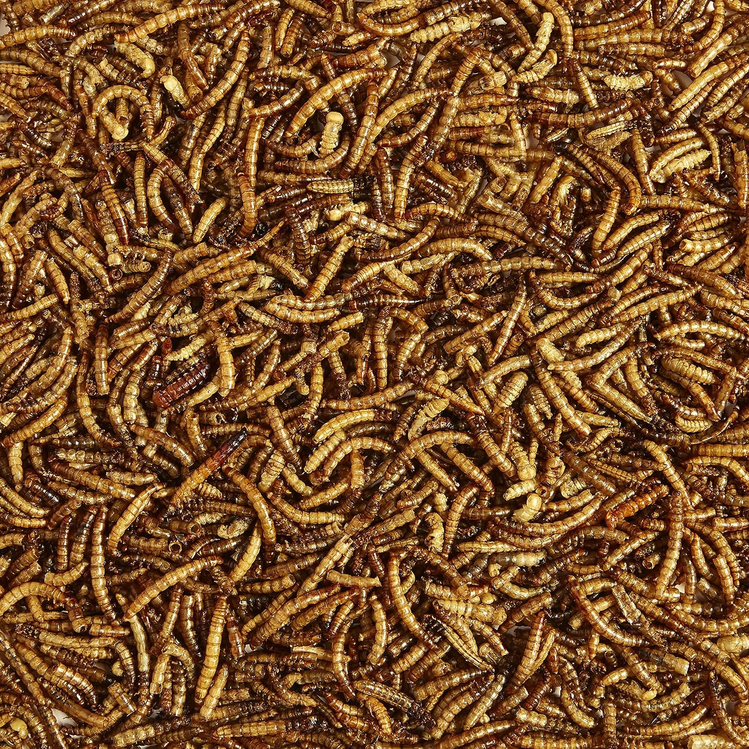 image:imageKaytee All American Mealworm and Black Oil Sunflower Wild Bird Food 3 PackAll American and Mealworm