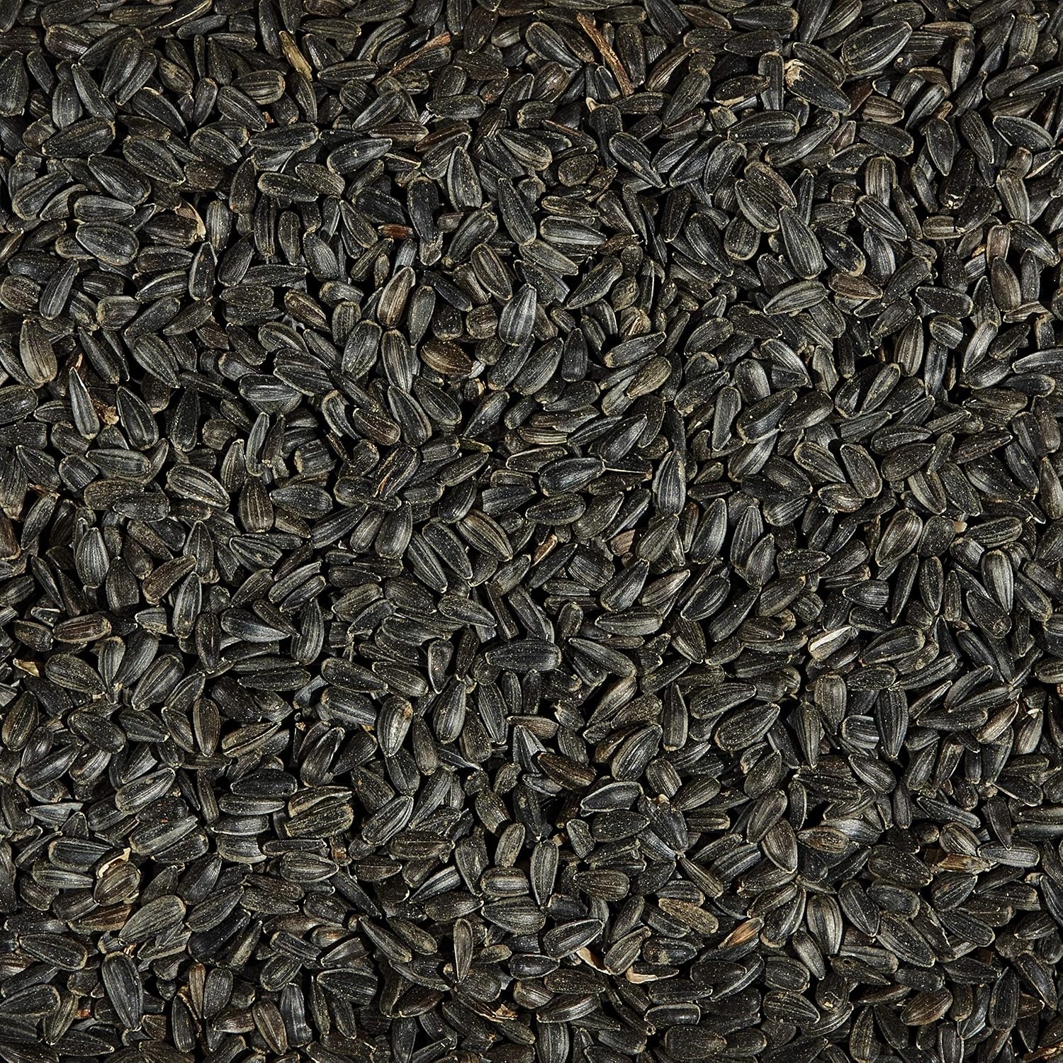 image:imageKaytee All American Mealworm and Black Oil Sunflower Wild Bird Food 3 PackBlack Oil Sunflower and Nyjer