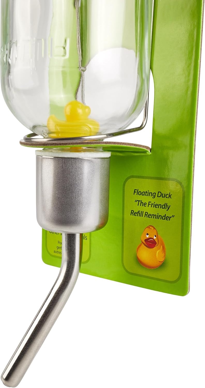 image:imageKaytee ChewProof Water Bottle for Pet Ferrets and Rabbits 26 ozclear