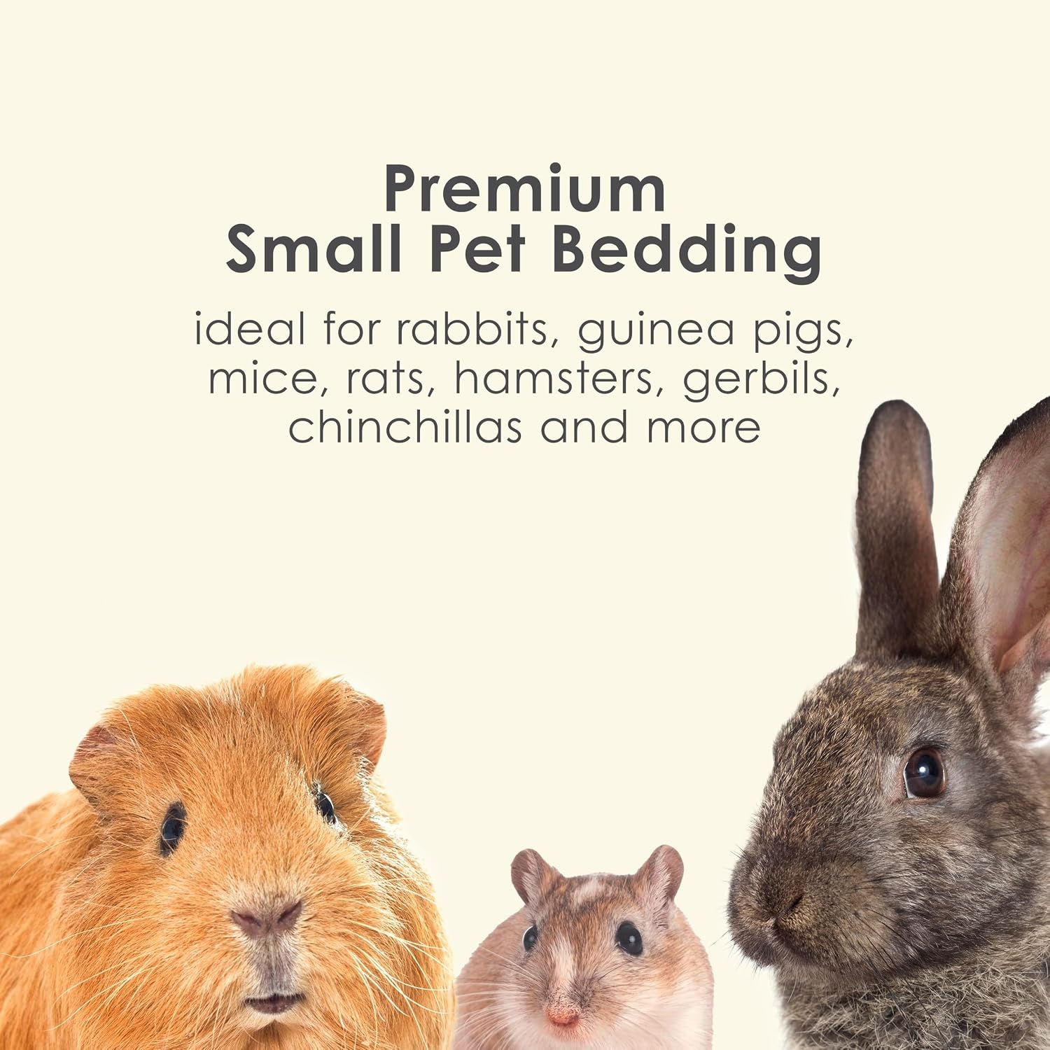 image:imageKaytee Clean amp Cozy Colors Small Animal Bedding with Extreme Odor Control Kaleidoscope 492 LitersSunset