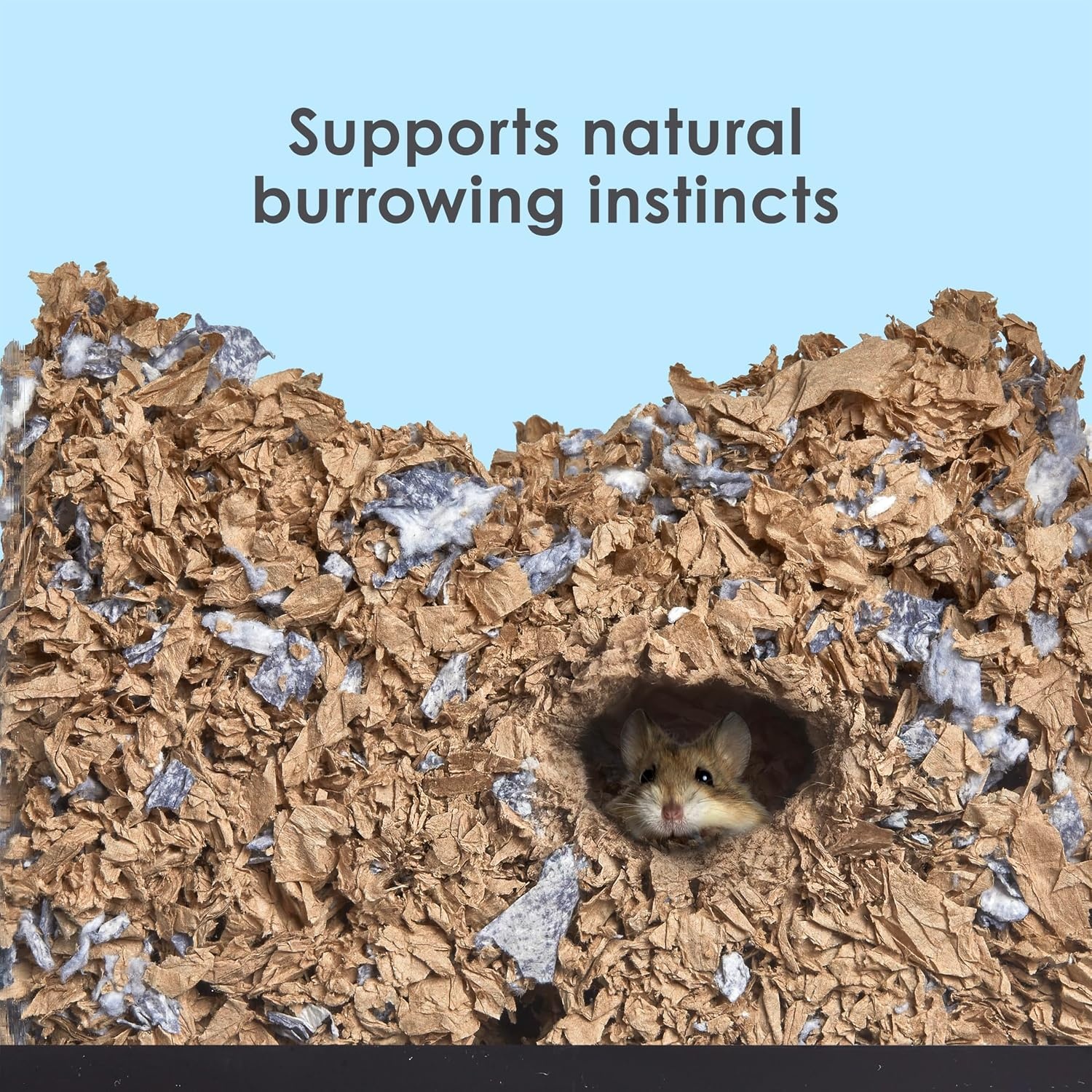 image:imageKaytee Clearview Home Bundle Glass Hamster Habitat Bedding 20 InchesTank wCover Bundle