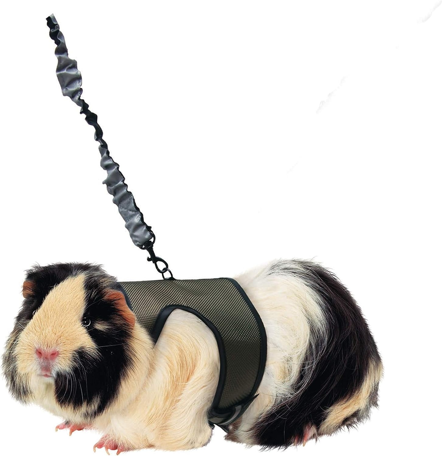 image:imageKaytee Comfort Harness amp Stretchy Leash MediumLarge Pack of 3