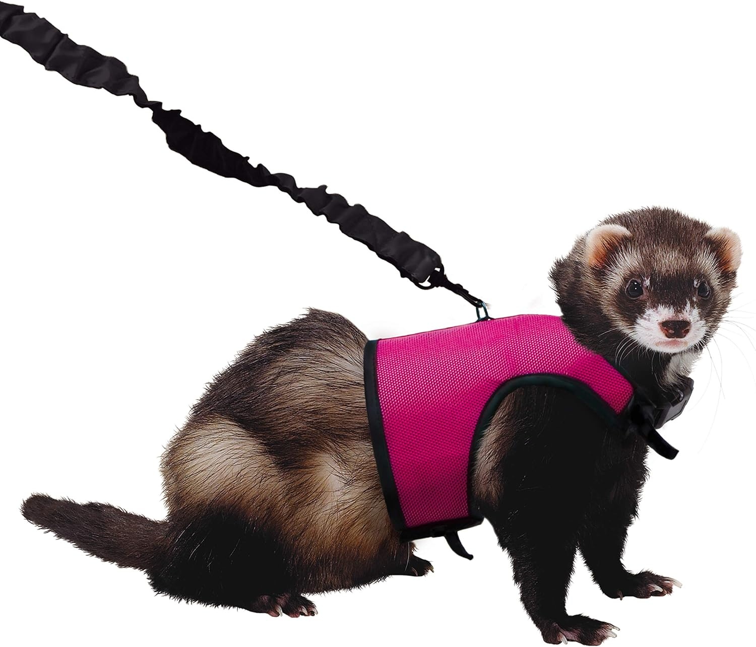 image:imageKaytee Comfort Harness amp Stretchy Leash MediumMedium Pack of 3