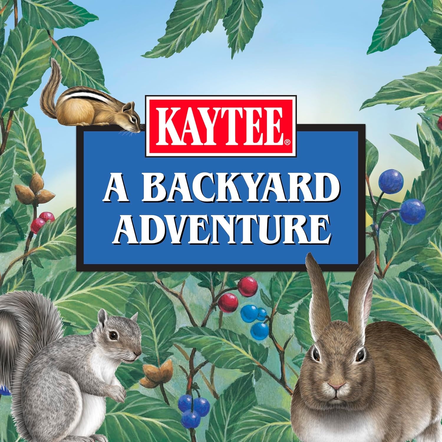 image:imageKaytee Corn on the Cob for Wildlife Feeding Squirrels amp Deer 65 lb65 Pound Pack of 1