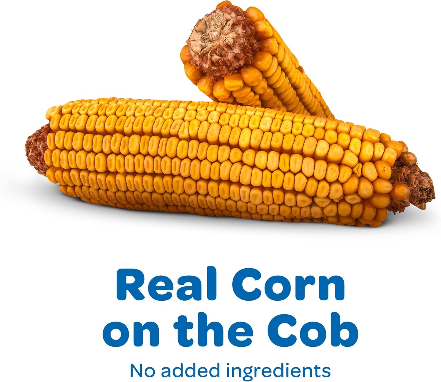 image:imageKaytee Corn on the Cob for Wildlife Feeding Squirrels amp Deer 65 lb65 Pound Pack of 1