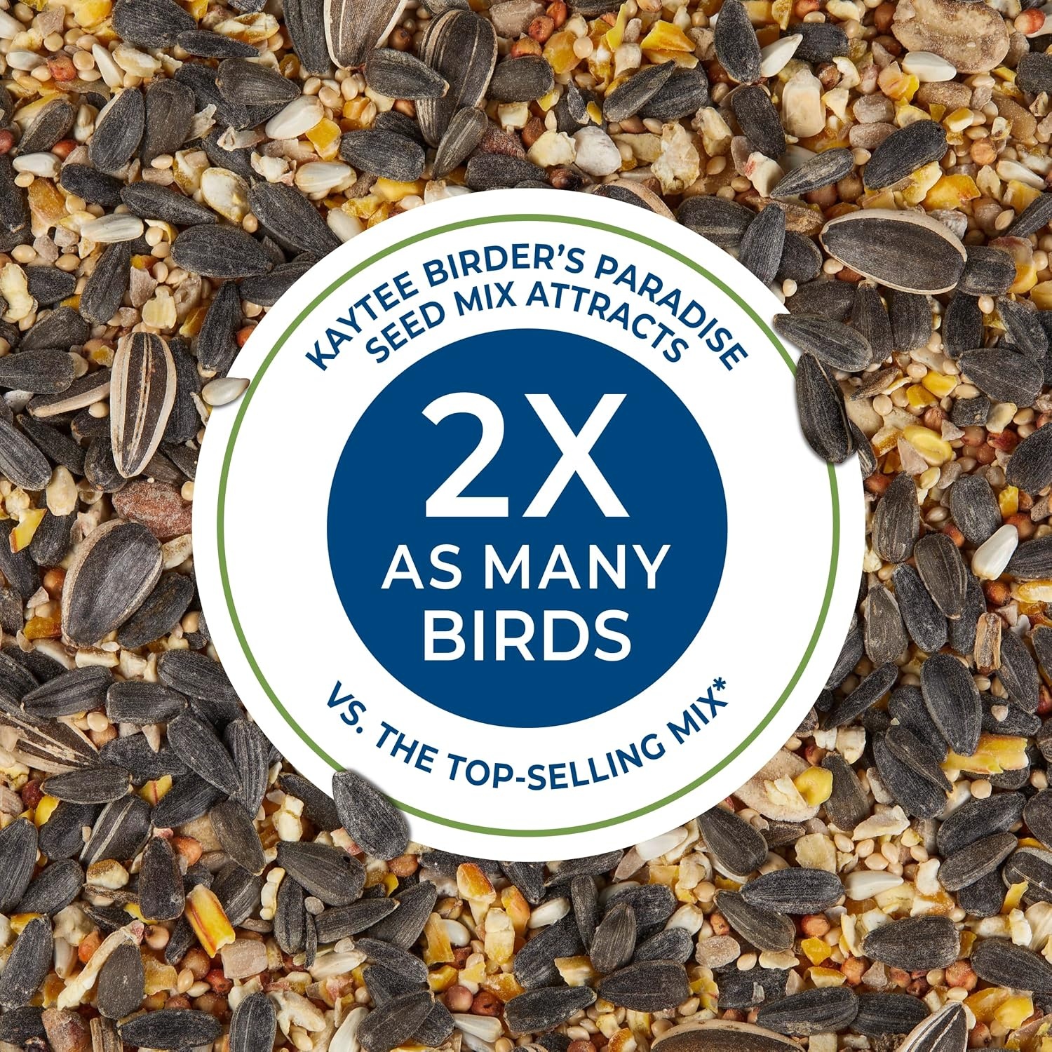 image:imageKaytee CornaPlenty Seed Cake Food for Wild Squirrels Chipmunks Rabbits amp Other Backyard Wildlife 25 Pounds 4 CountBirders Paradise 4 Count