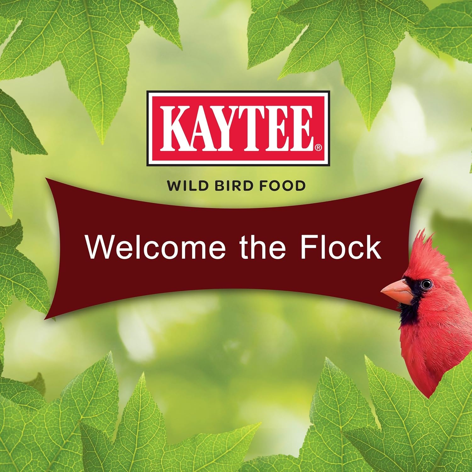 image:imageKaytee CornaPlenty Seed Cake Food for Wild Squirrels Chipmunks Rabbits amp Other Backyard Wildlife 25 Pounds 4 CountCardinal 4 Count
