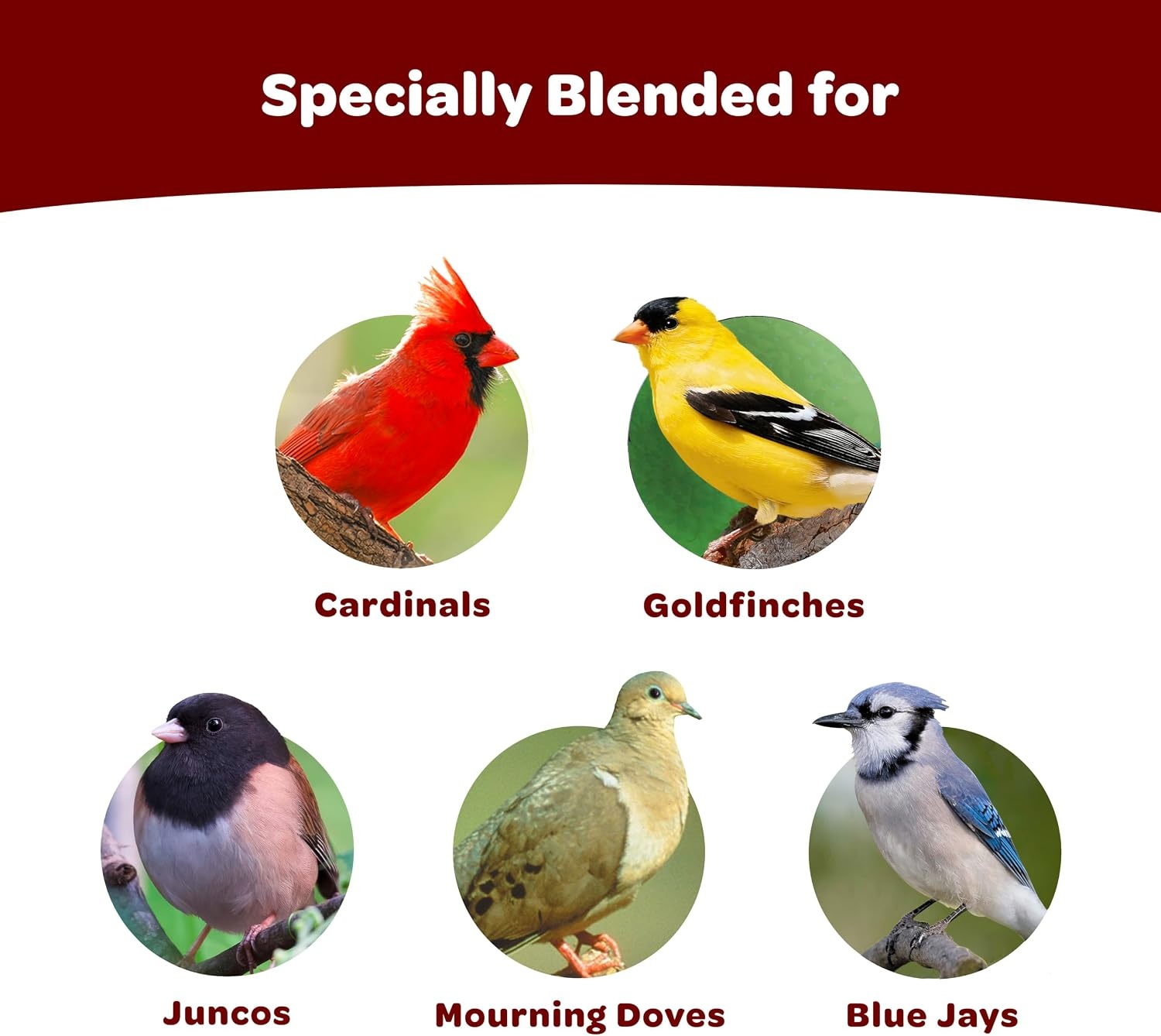 image:imageKaytee CornaPlenty Seed Cake Food for Wild Squirrels Chipmunks Rabbits amp Other Backyard Wildlife 25 Pounds 4 CountCardinal 4 Count