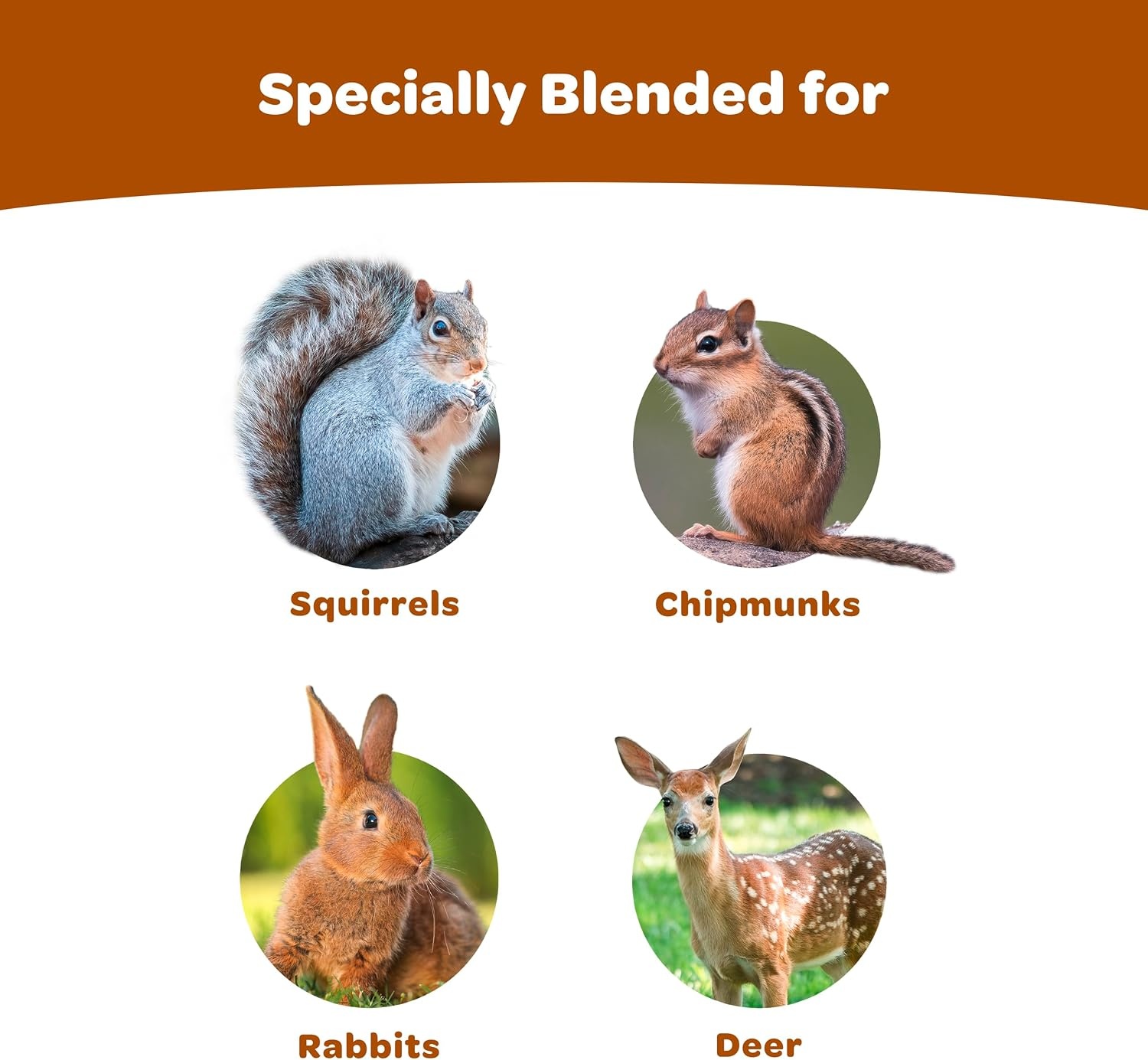 image:imageKaytee CornaPlenty Seed Cake Food for Wild Squirrels Chipmunks Rabbits amp Other Backyard Wildlife 25 Pounds 4 CountCornAPlenty 4 Count