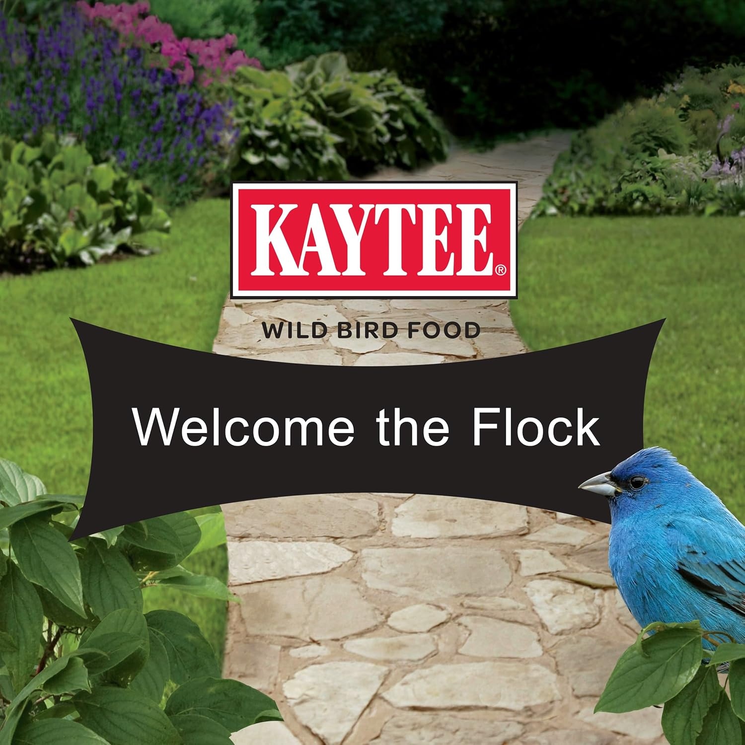 image:imageKaytee CornaPlenty Seed Cake Food for Wild Squirrels Chipmunks Rabbits amp Other Backyard Wildlife 25 Pounds 4 CountNo Mess 4 Count