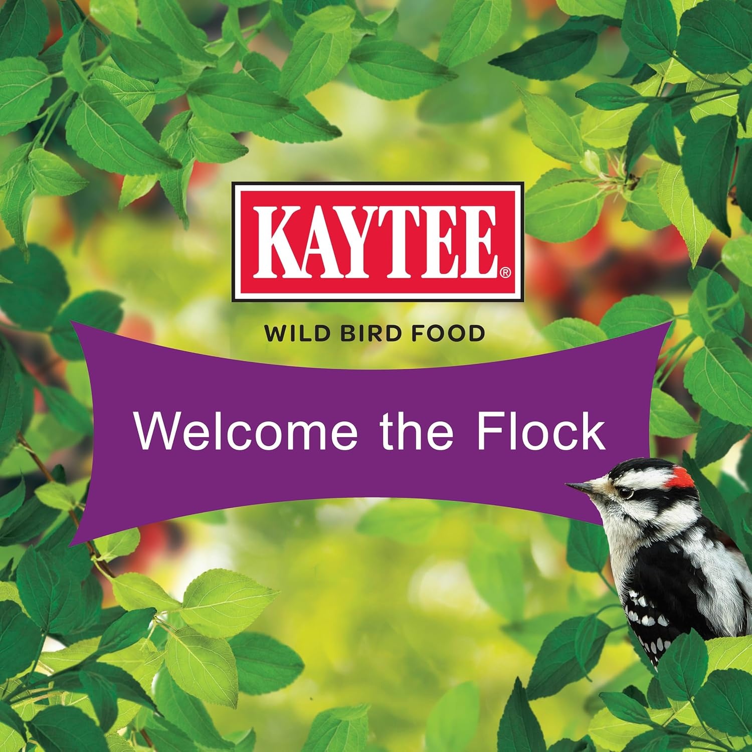 image:imageKaytee CornaPlenty Seed Cake Food for Wild Squirrels Chipmunks Rabbits amp Other Backyard Wildlife 25 Pounds 4 CountNut and Fruit 4 Count