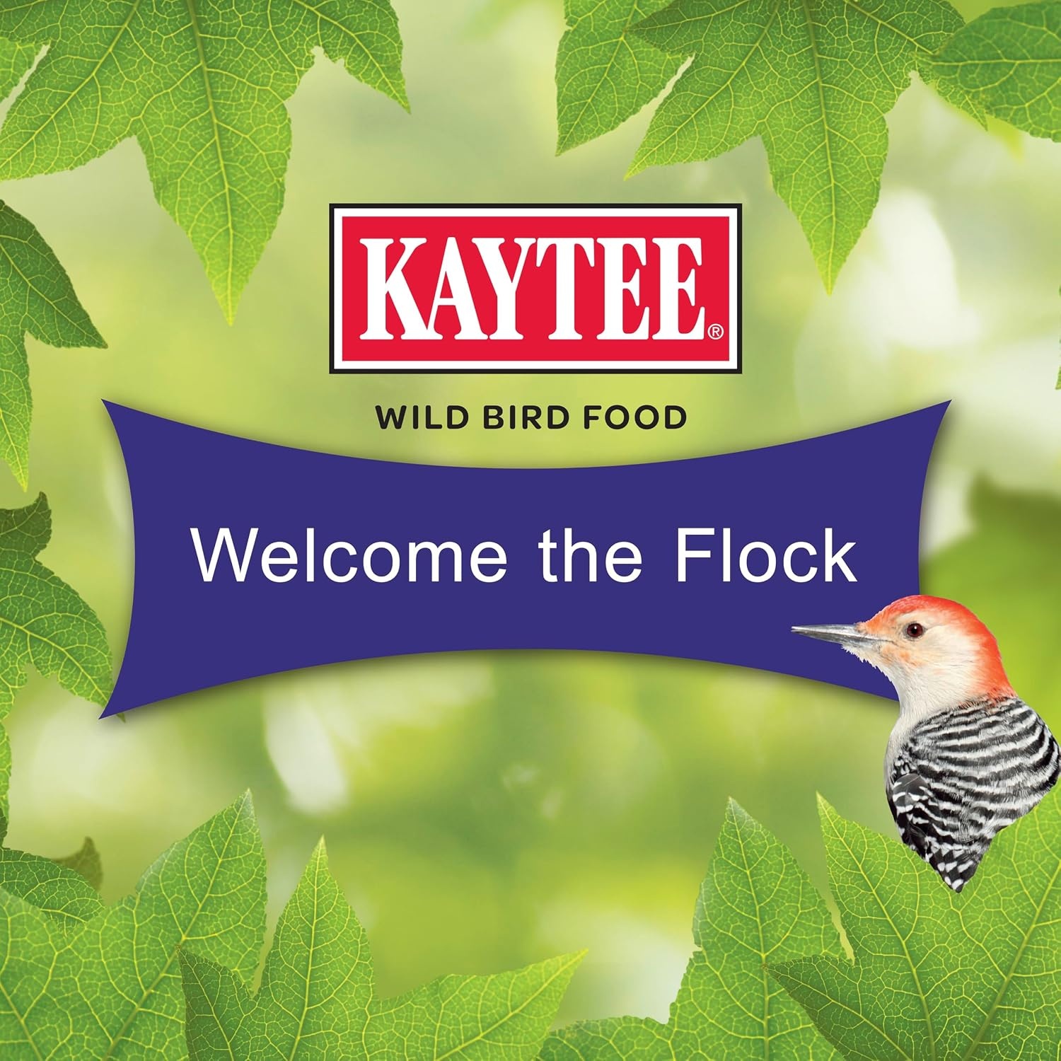 image:imageKaytee CornaPlenty Seed Cake Food for Wild Squirrels Chipmunks Rabbits amp Other Backyard Wildlife 25 Pounds 4 CountWoodpecker 4 Count