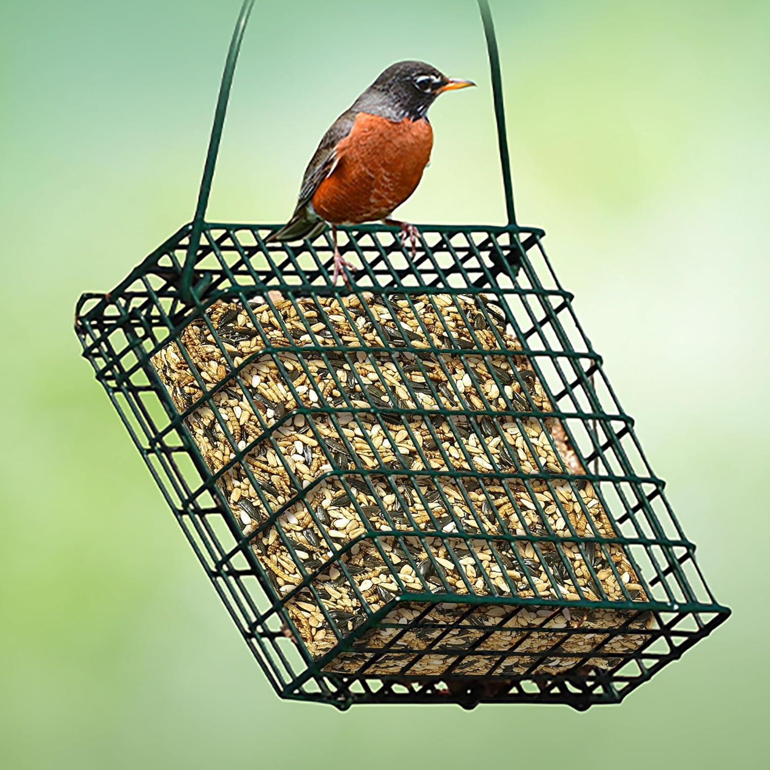 image:imageKaytee CornaPlenty Seed Cake Food for Wild Squirrels Chipmunks Rabbits amp Other Backyard Wildlife 25 Pounds14 Pound Pack of 1