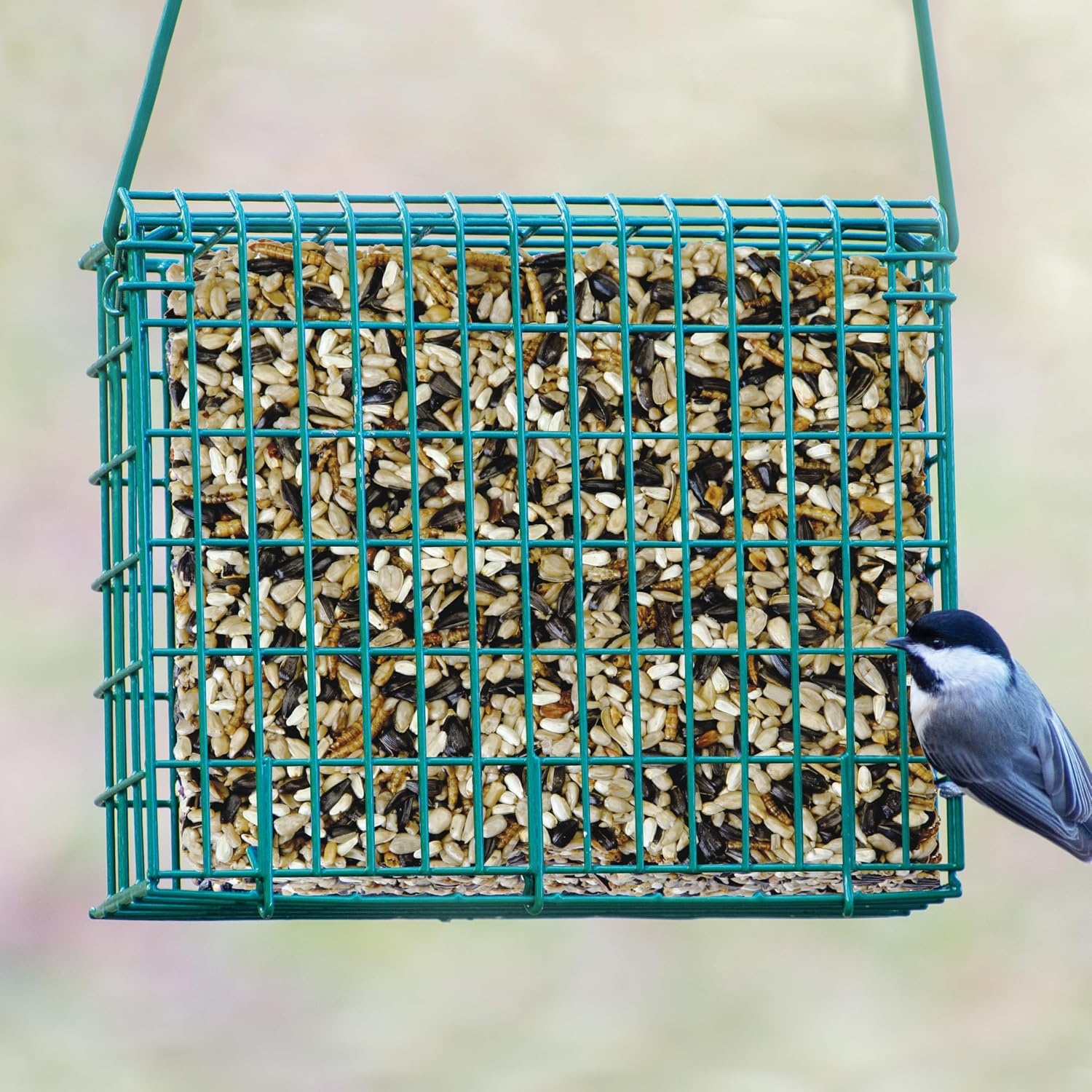 image:imageKaytee CornaPlenty Seed Cake Food for Wild Squirrels Chipmunks Rabbits amp Other Backyard Wildlife 25 Pounds14 Pound Pack of 1