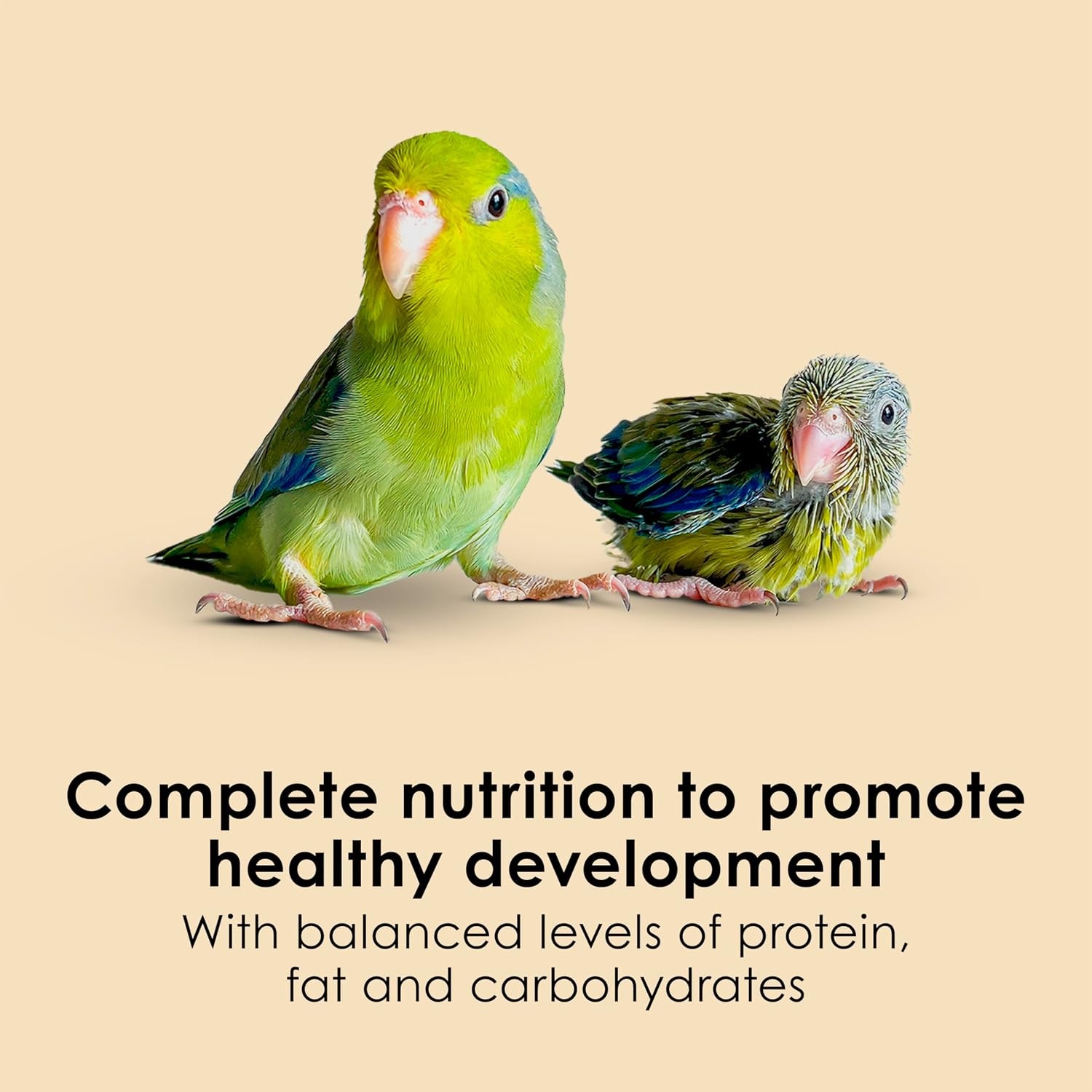 image:imageKaytee Exact Hand Feeding Formula Baby Bird Food for Baby Birds 5 Pounds5 Pound Pack of 1