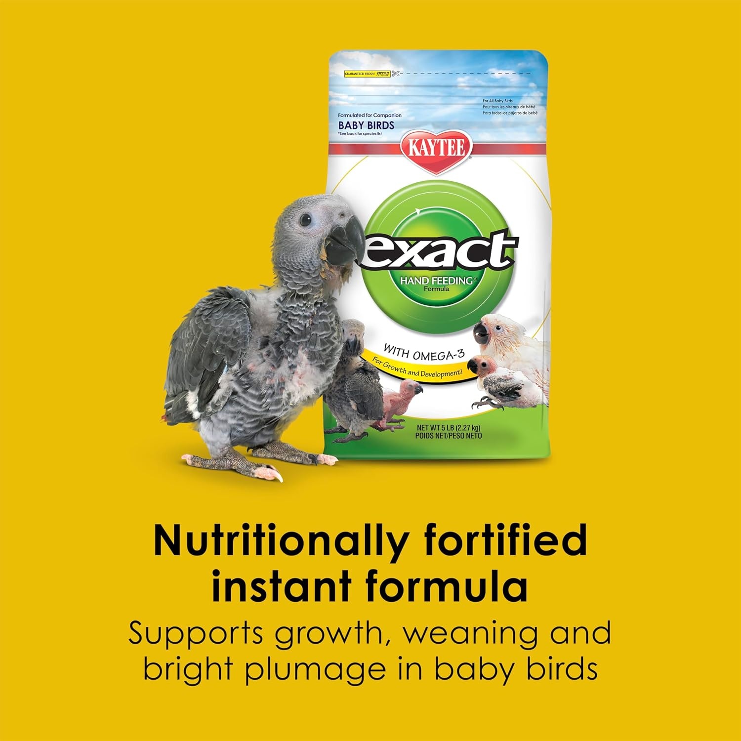 image:imageKaytee Exact Hand Feeding Formula Baby Bird Food for Baby Birds 5 Pounds5 Pound Pack of 1