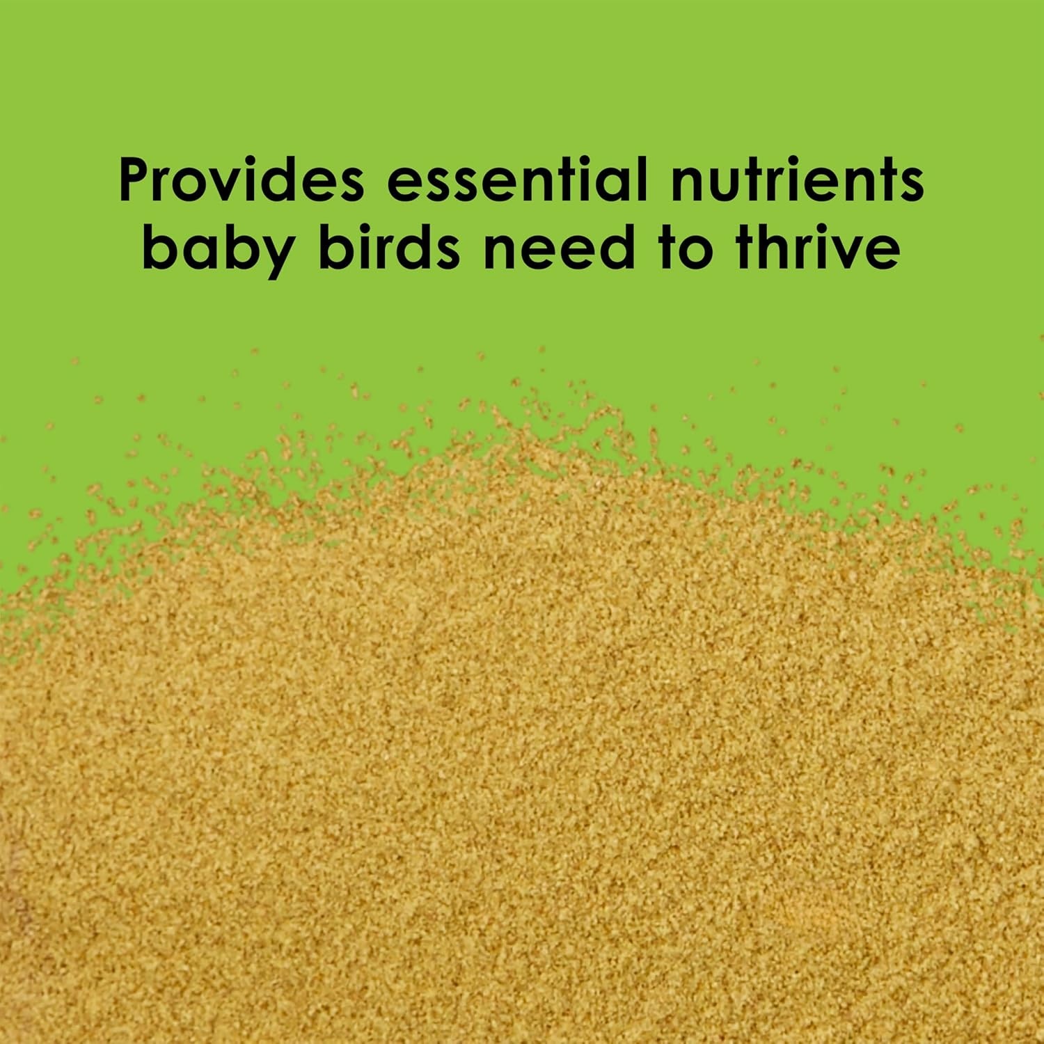 image:imageKaytee Exact Hand Feeding Formula Baby Bird Food for Baby Birds 5 Pounds5 Pound Pack of 1