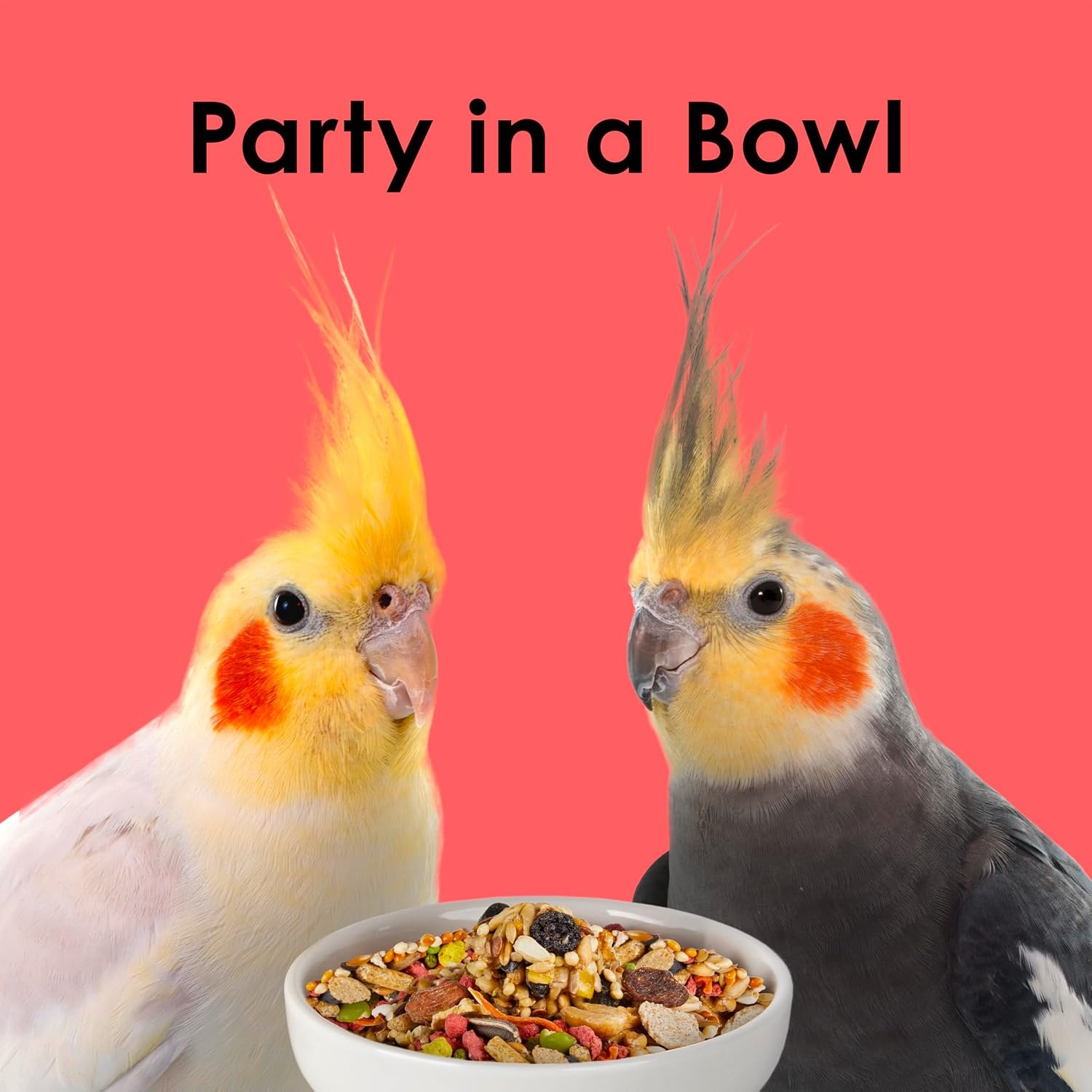 image:imageKaytee Fiesta Cockatiel Bird Food Nutritious Fun Blend 25 Pounds25 Pound Pack of 1