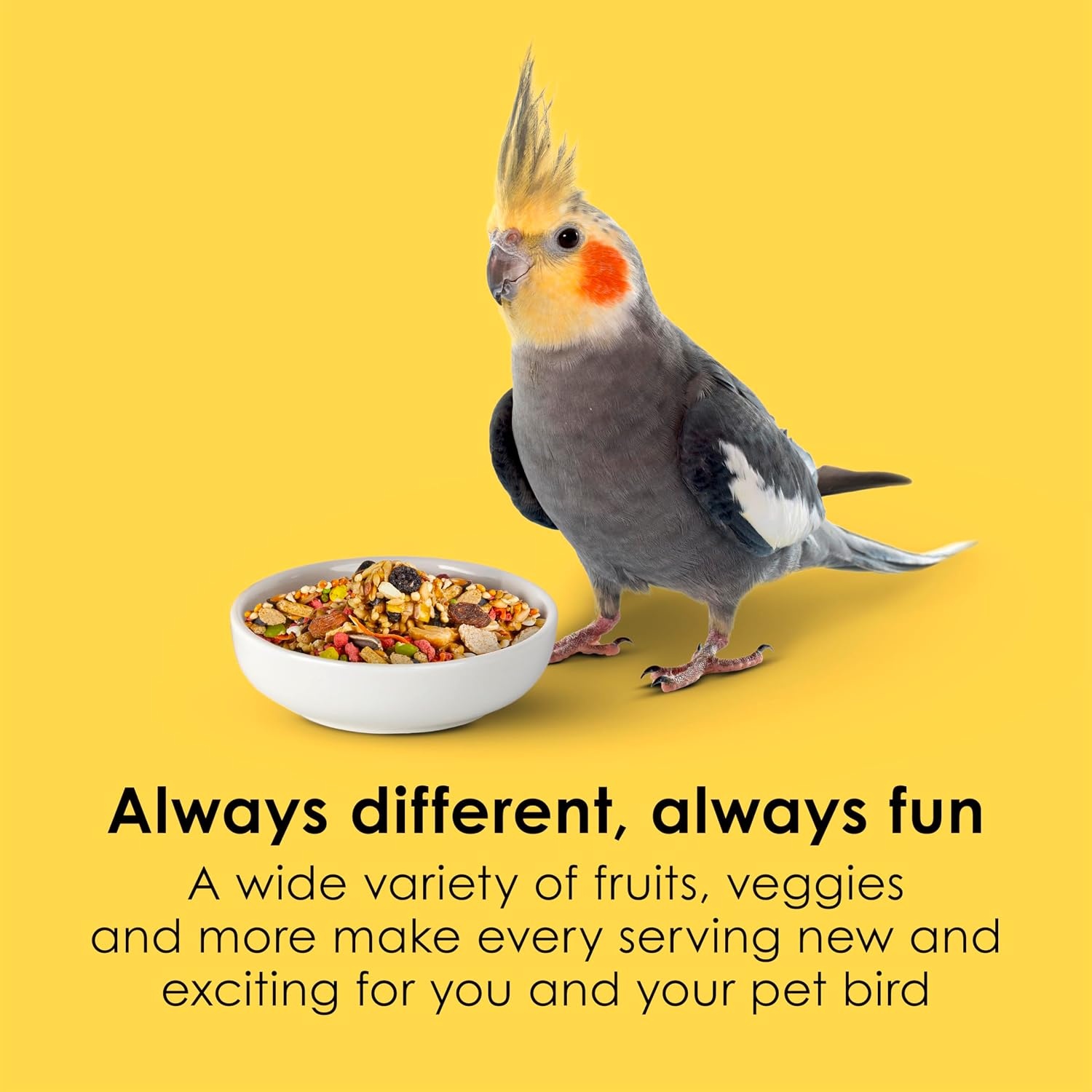 image:imageKaytee Fiesta Cockatiel Bird Food Nutritious Fun Blend 25 Pounds25 Pound Pack of 1