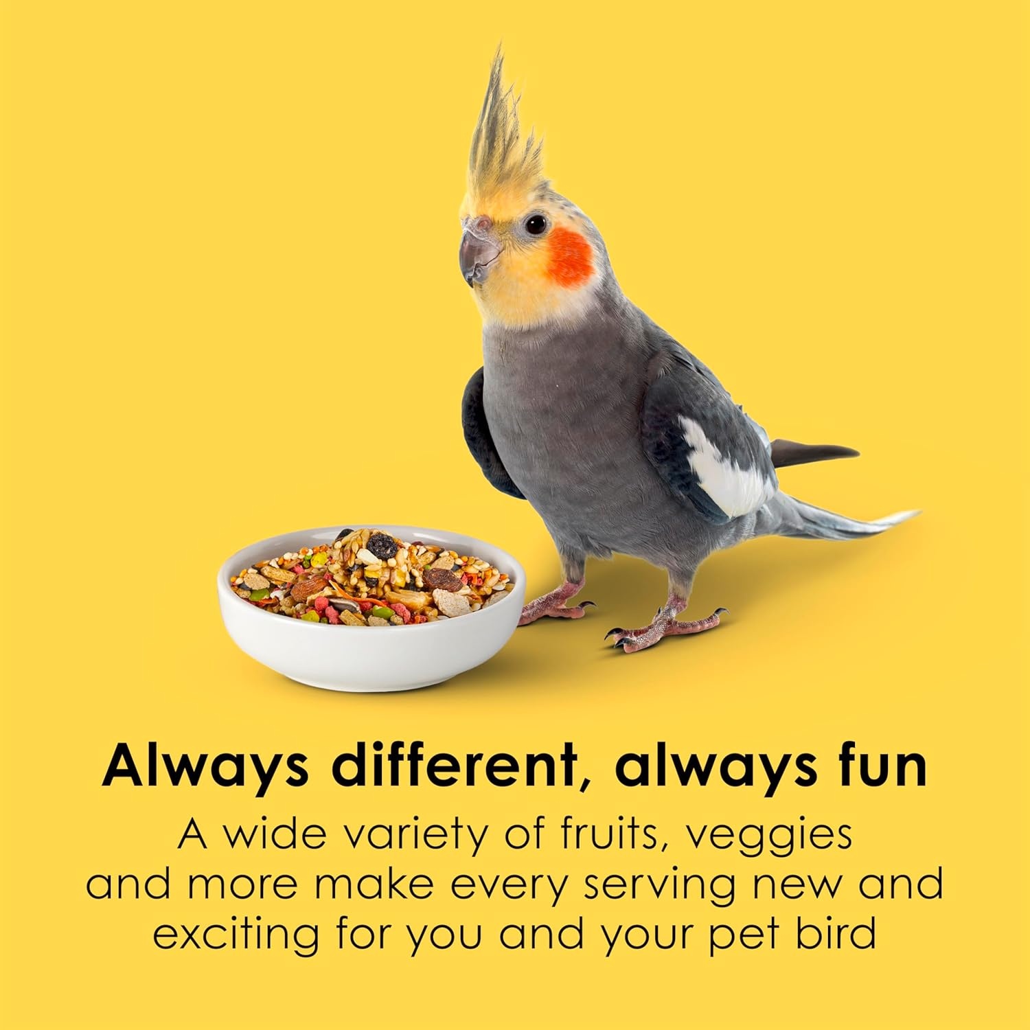 image:imageKaytee Fiesta Cockatiel Bird Food Nutritious Fun Blend 25 Pounds45 Pound Pack of 1