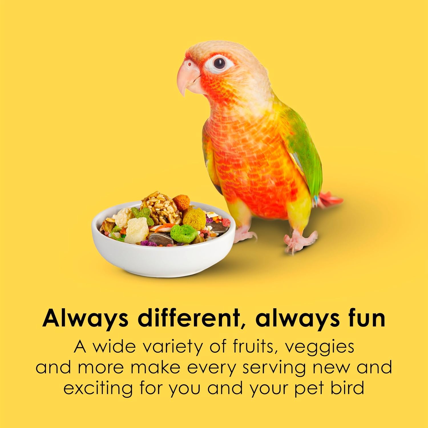 image:imageKaytee Fiesta Conure Bird Food Nutritious Fun Blend 45 PoundsBird Food