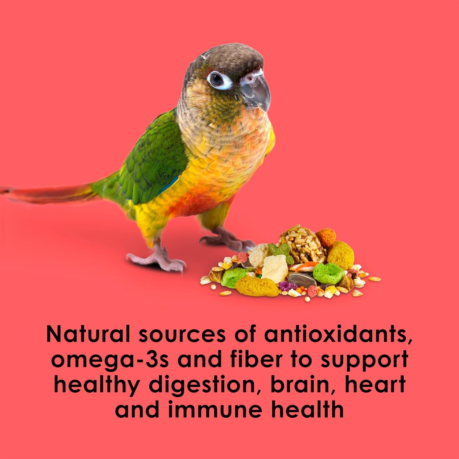 image:imageKaytee Fiesta Conure Bird Food Nutritious Fun Blend 45 PoundsBird Food