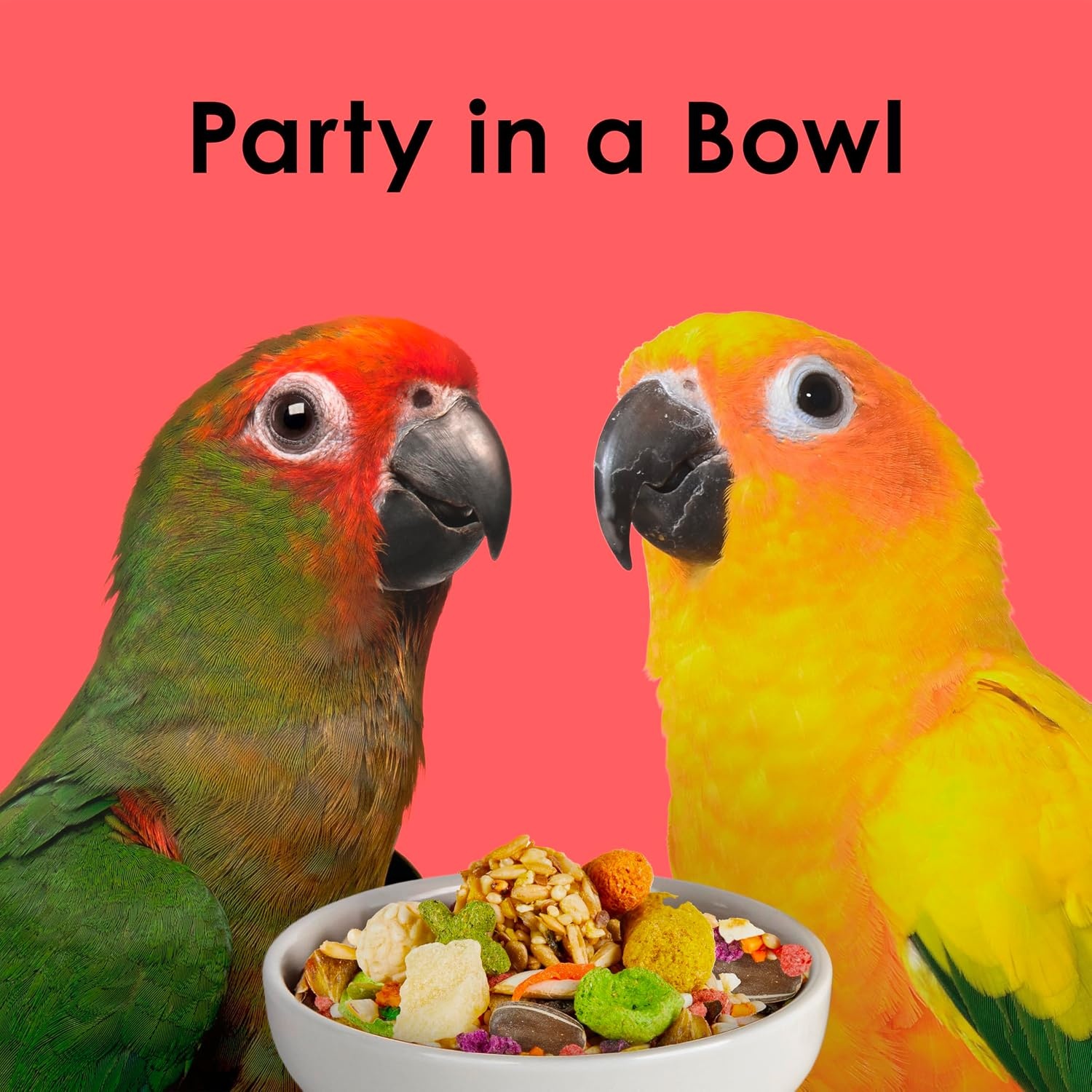 image:imageKaytee Fiesta Conure Bird Food Nutritious Fun Blend 45 PoundsBird Food