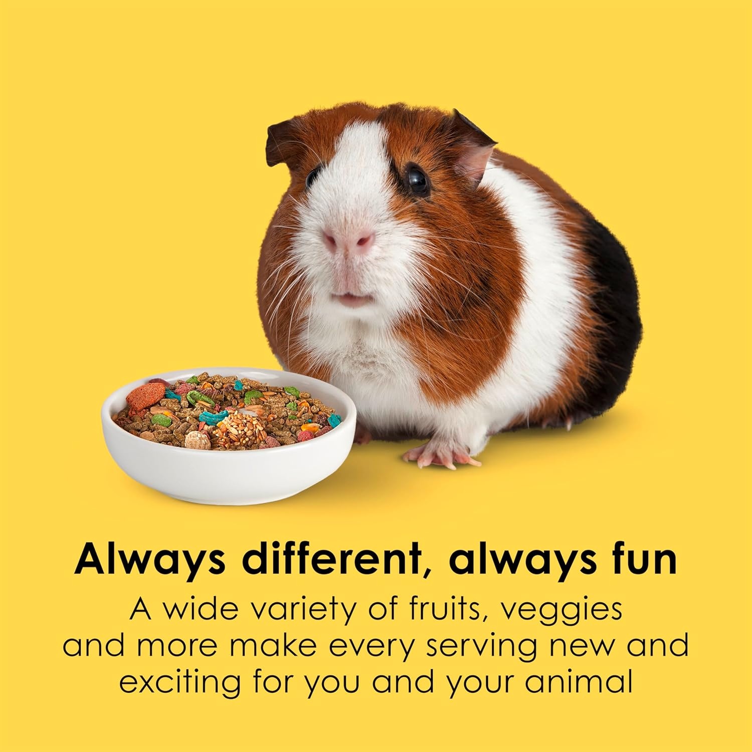 image:imageKaytee Fiesta Guinea Pig Food Nutritious Blend 25 Pounds25 Pound Pack of 1