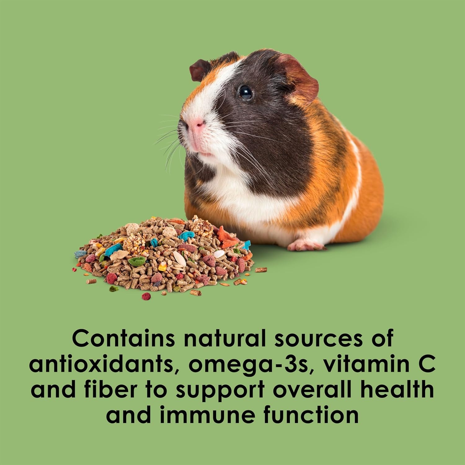image:imageKaytee Fiesta Guinea Pig Food Nutritious Blend 25 Pounds25 Pound Pack of 1