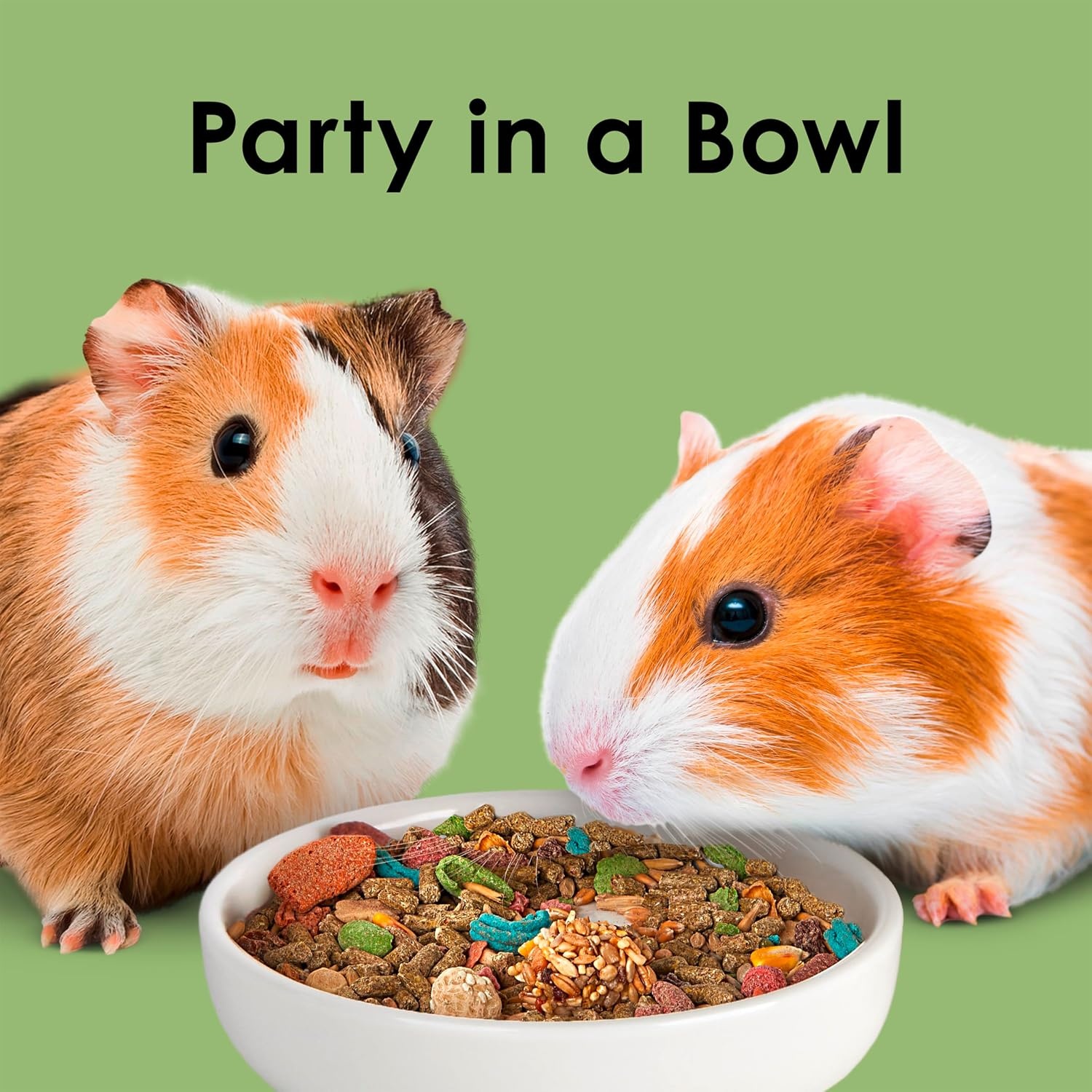 image:imageKaytee Fiesta Guinea Pig Food Nutritious Blend 25 Pounds25 Pound Pack of 1