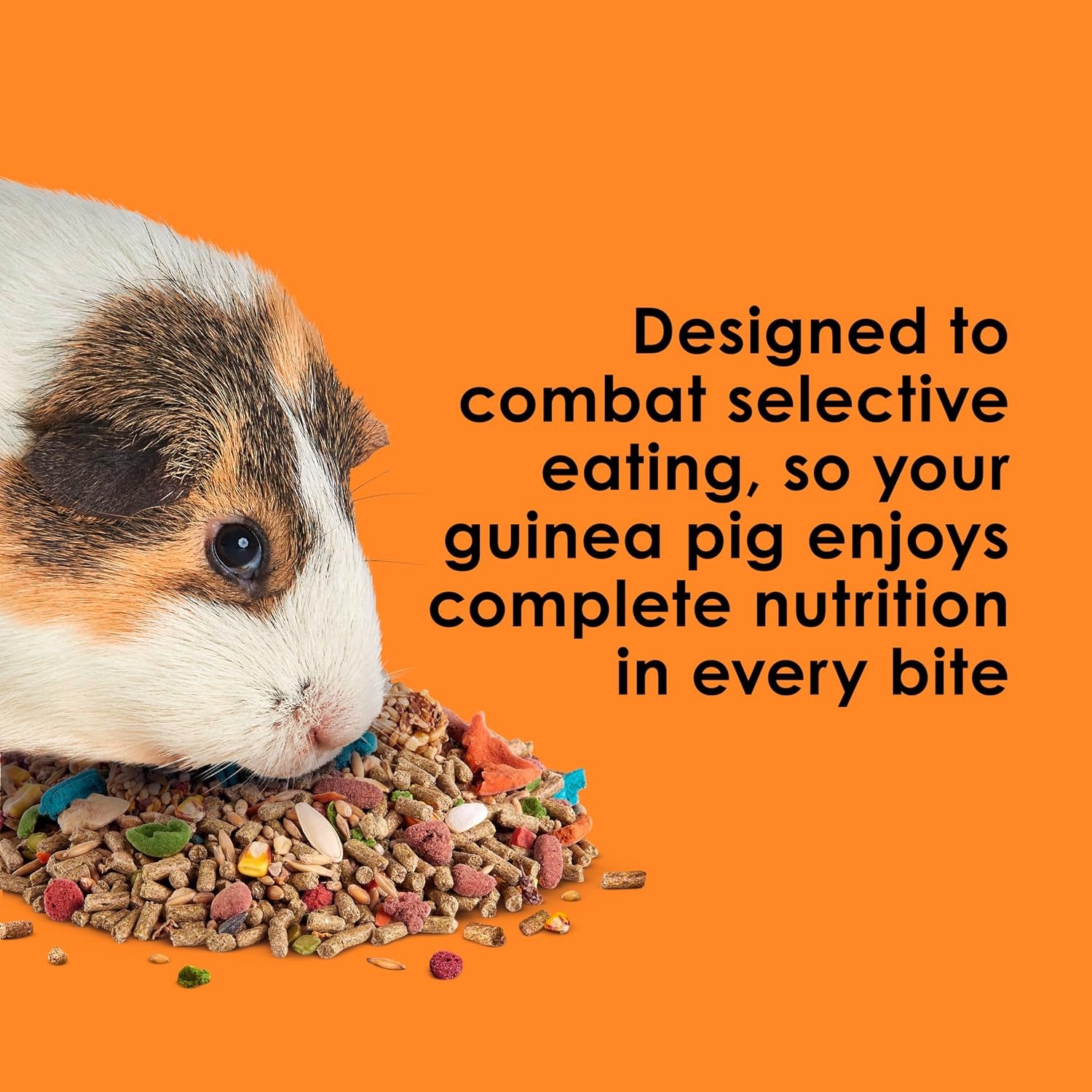 image:imageKaytee Fiesta Guinea Pig Food Nutritious Blend 25 Pounds25 Pound Pack of 1