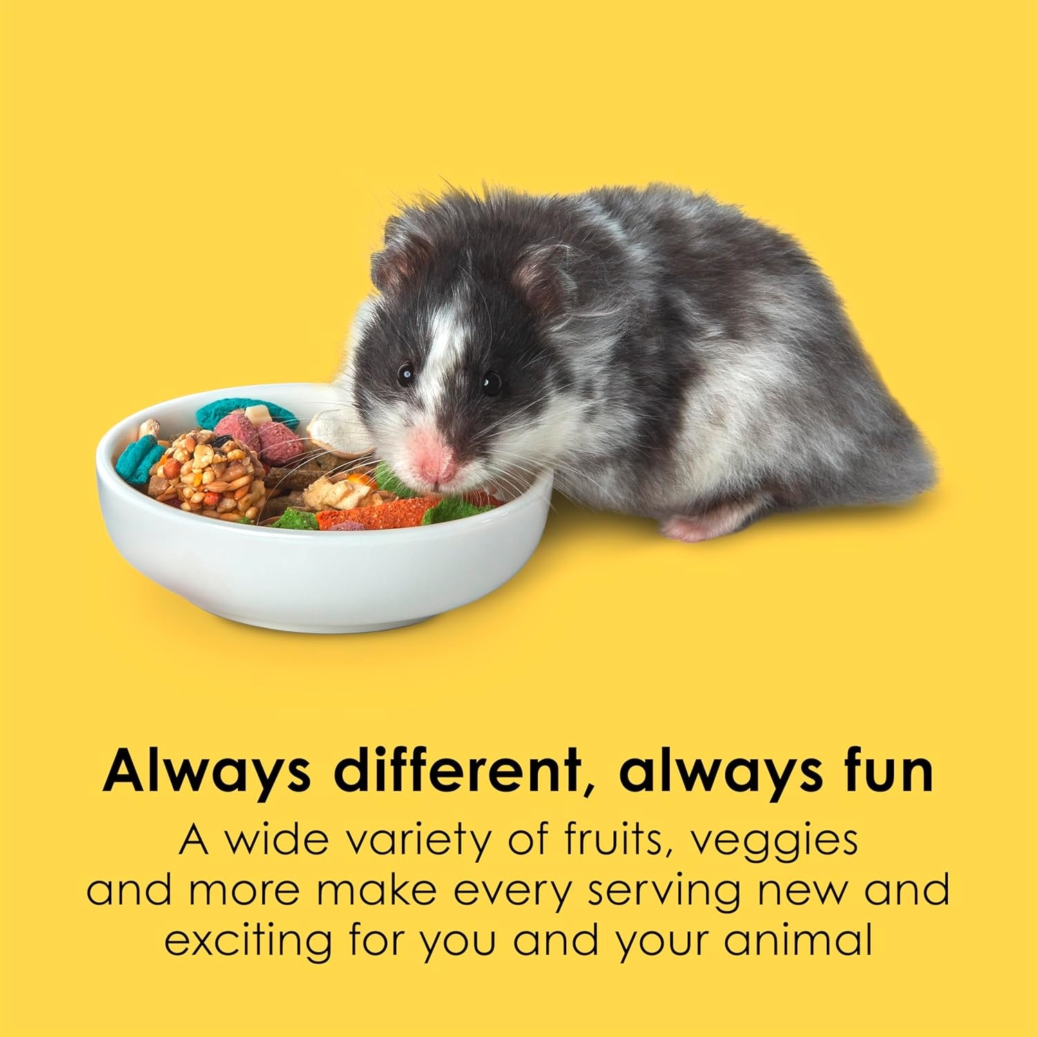 image:imageKaytee Fiesta Hamster amp Gerbil Food Nutritious and Fun Blend Supports Dental Health and Digestion 25 pounds25 Pound Pack of 1