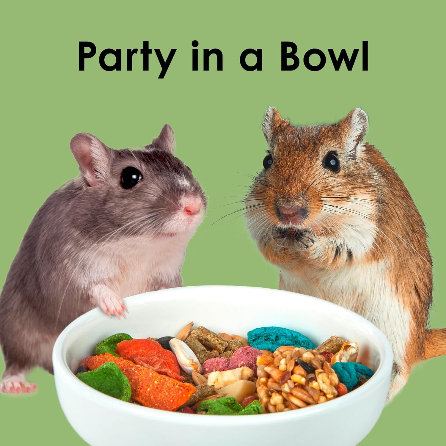 image:imageKaytee Fiesta Hamster amp Gerbil Food Nutritious and Fun Blend Supports Dental Health and Digestion 25 pounds45 Pound Pack of 1