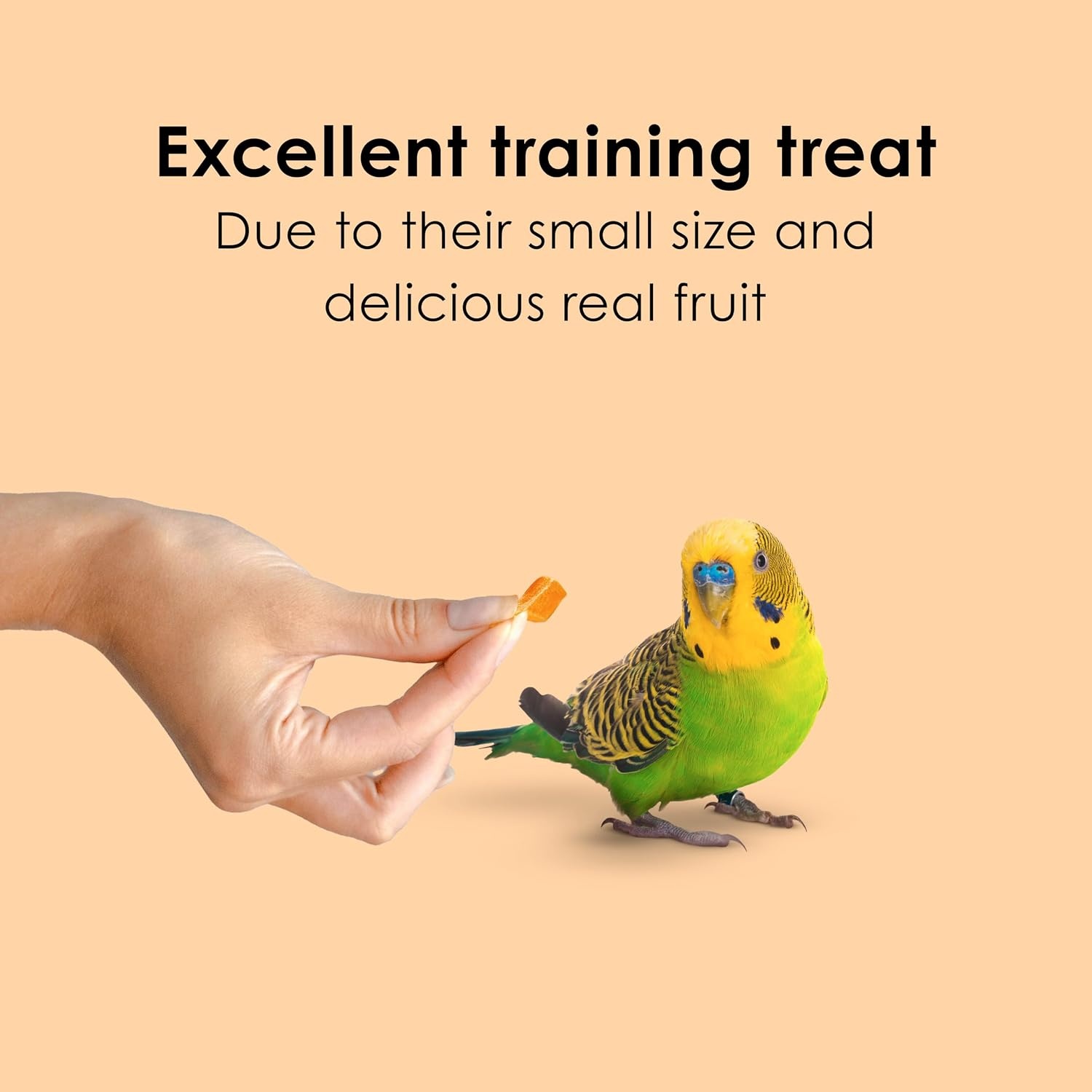 image:imageKaytee Fiesta Healthy Toppings Papaya Bits For All Pet Birds 25Oz BagPapaya