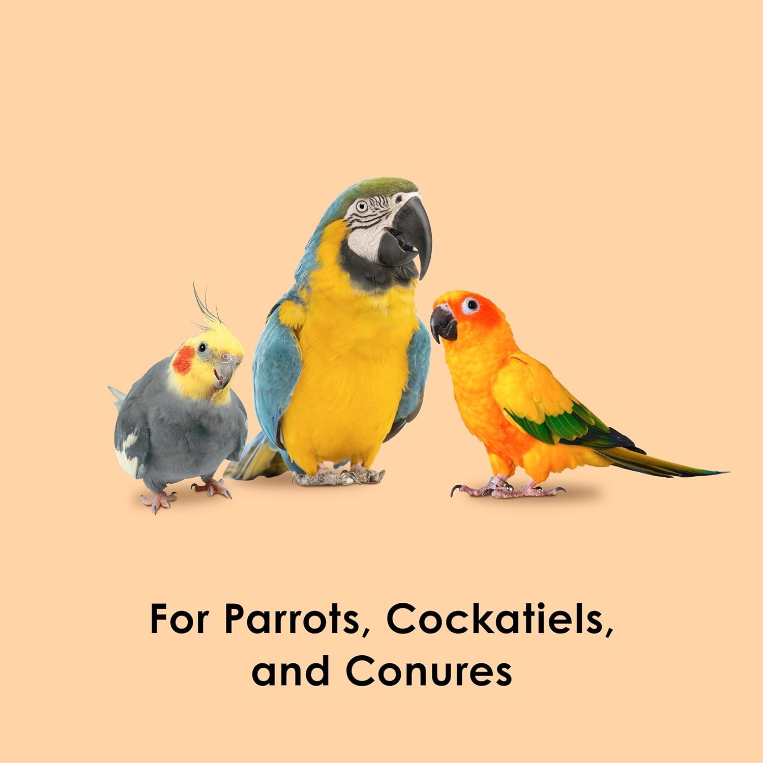 image:imageKaytee Fiesta Healthy Toppings Papaya Bits For All Pet Birds 25Oz BagPapaya