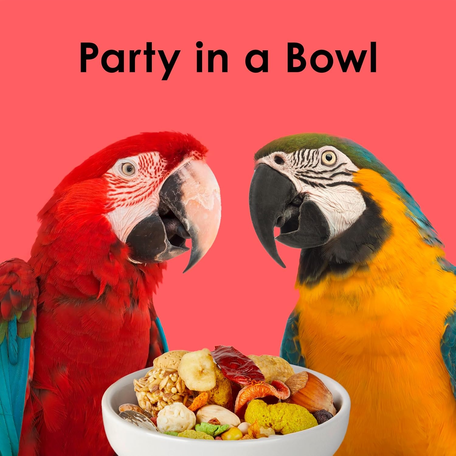 image:imageKaytee Fiesta Macaw Food Nutritious and Fun Blend 45 Pounds45 Pound Pack of 1