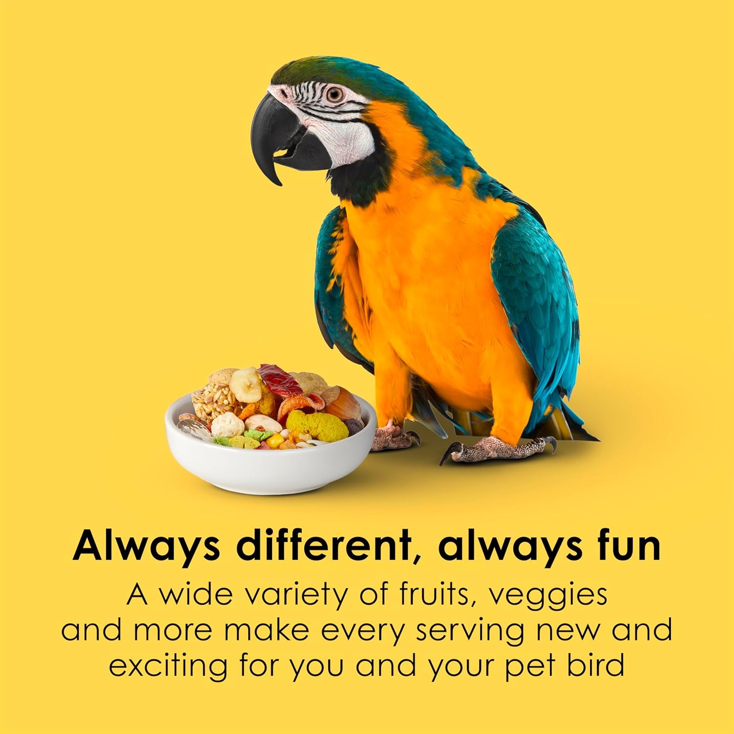 image:imageKaytee Fiesta Macaw Food Nutritious and Fun Blend 45 Pounds45 Pound Pack of 1