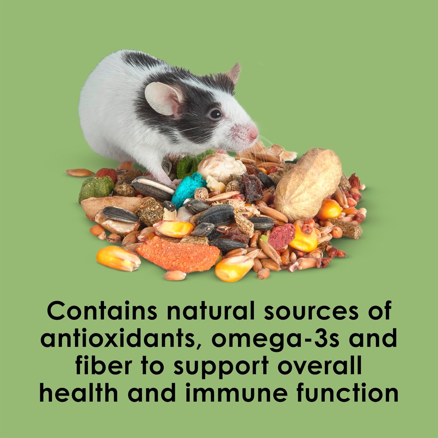 image:imageKaytee Fiesta Mouse amp Rat Food Nutritious Blend 45 Pounds15 Pound Pack of 1