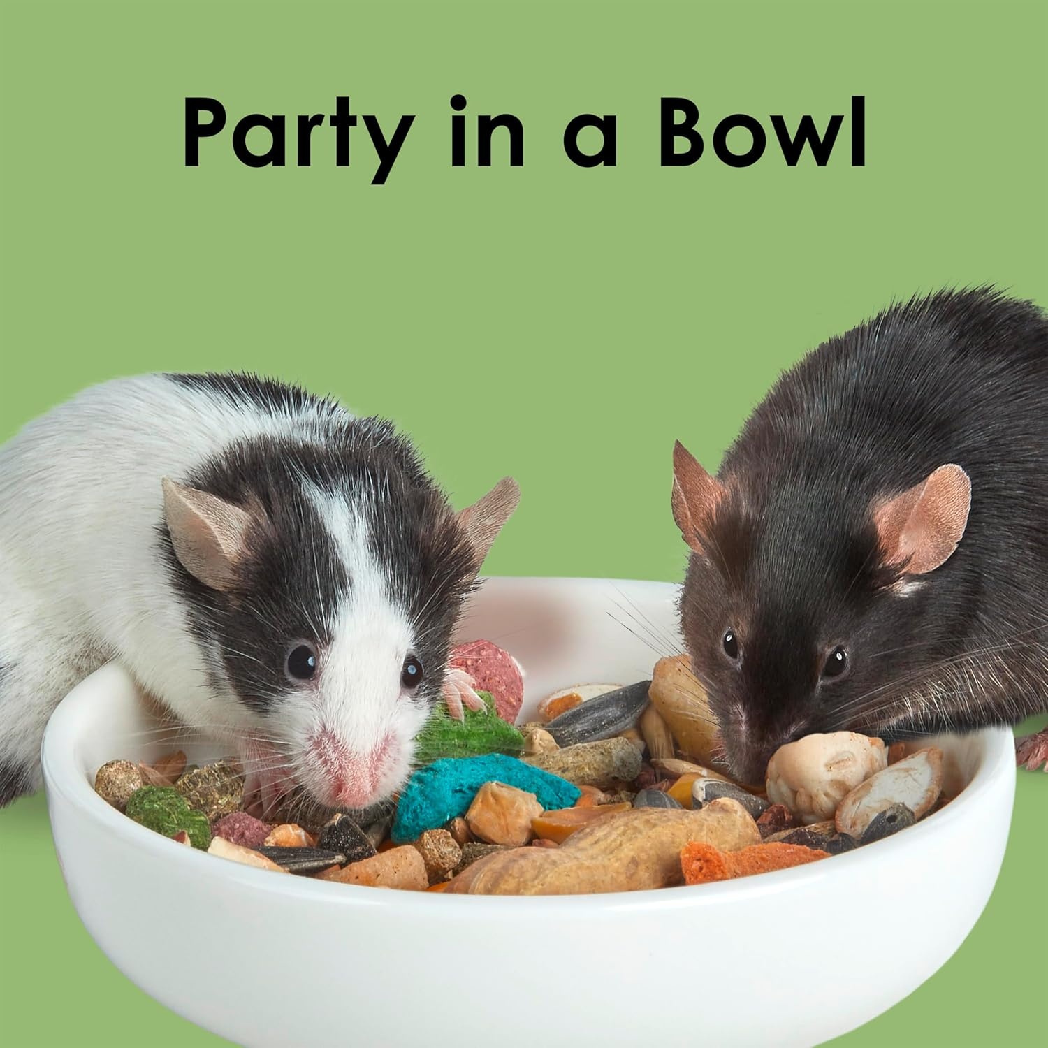 image:imageKaytee Fiesta Mouse amp Rat Food Nutritious Blend 45 Pounds2 Pound Pack of 1