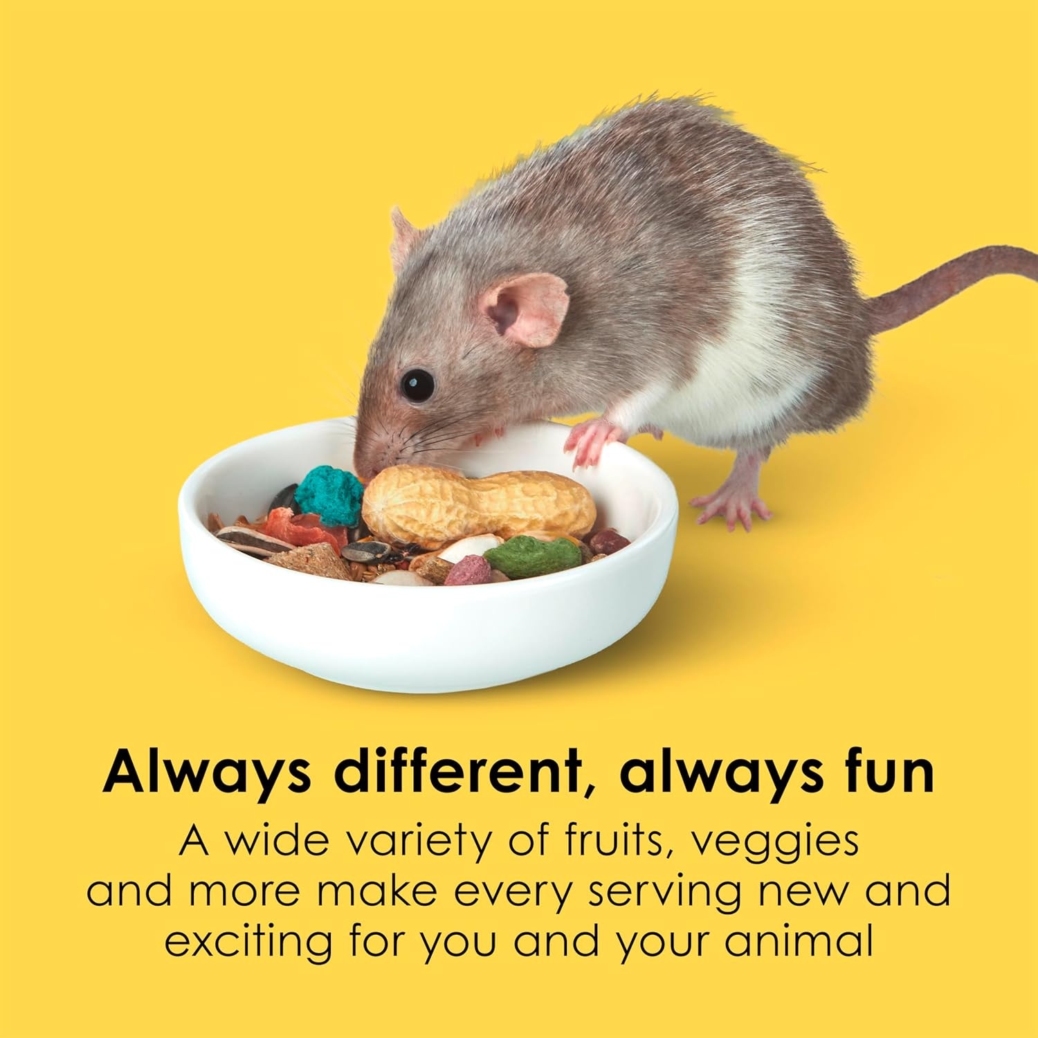 image:imageKaytee Fiesta Mouse amp Rat Food Nutritious Blend 45 Pounds45 Pound Pack of 1