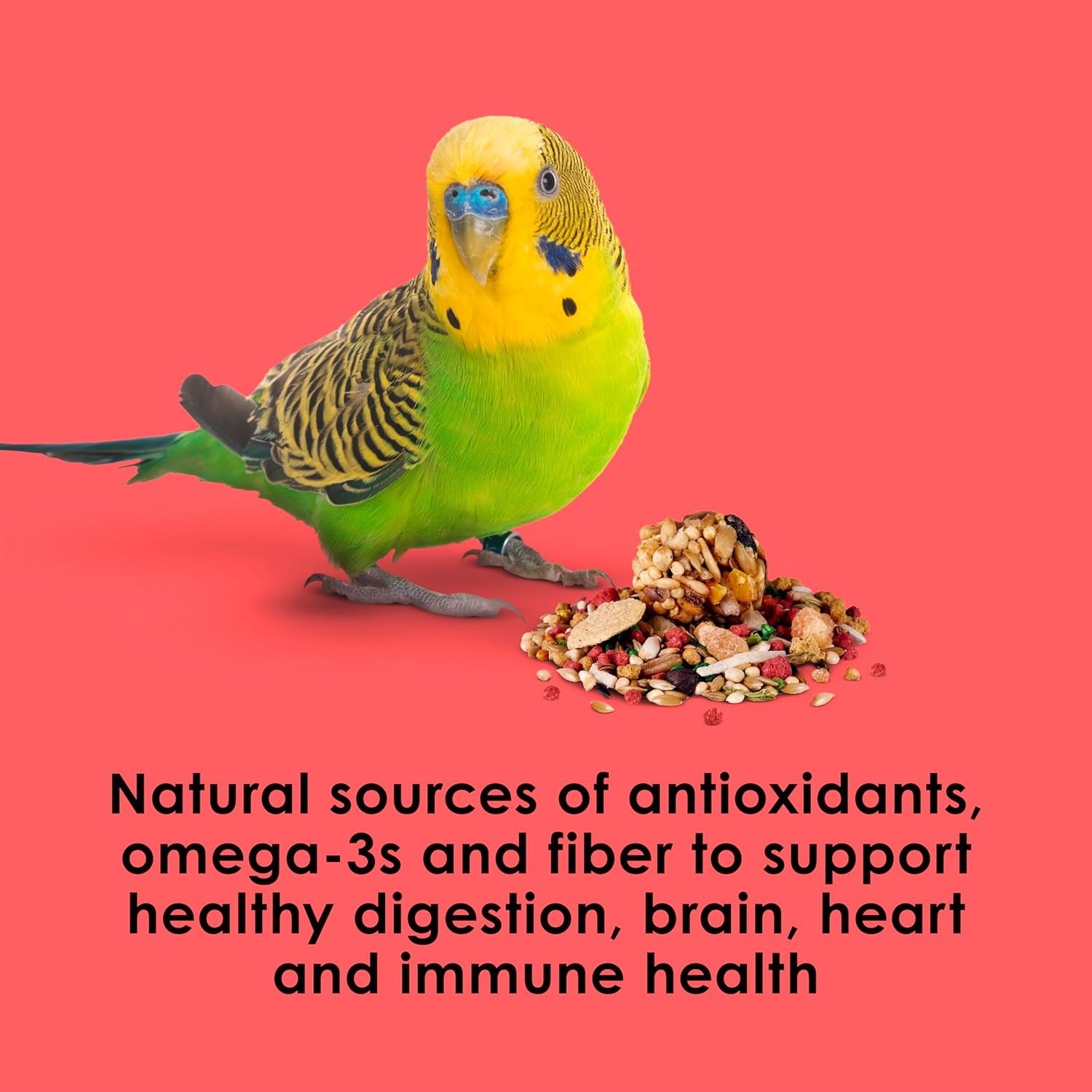 image:imageKaytee Fiesta Parakeet Food Nutritious and Fun Blend 2 Pounds2 Pound Pack of 1