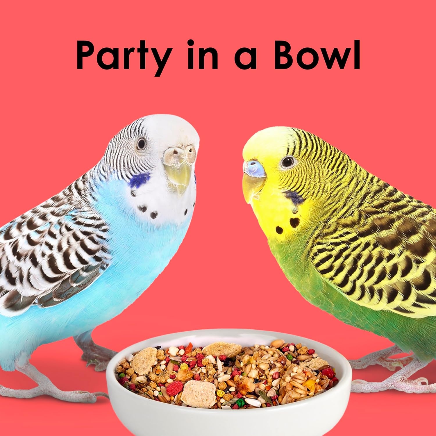 image:imageKaytee Fiesta Parakeet Food Nutritious and Fun Blend 2 Pounds2 Pound Pack of 1